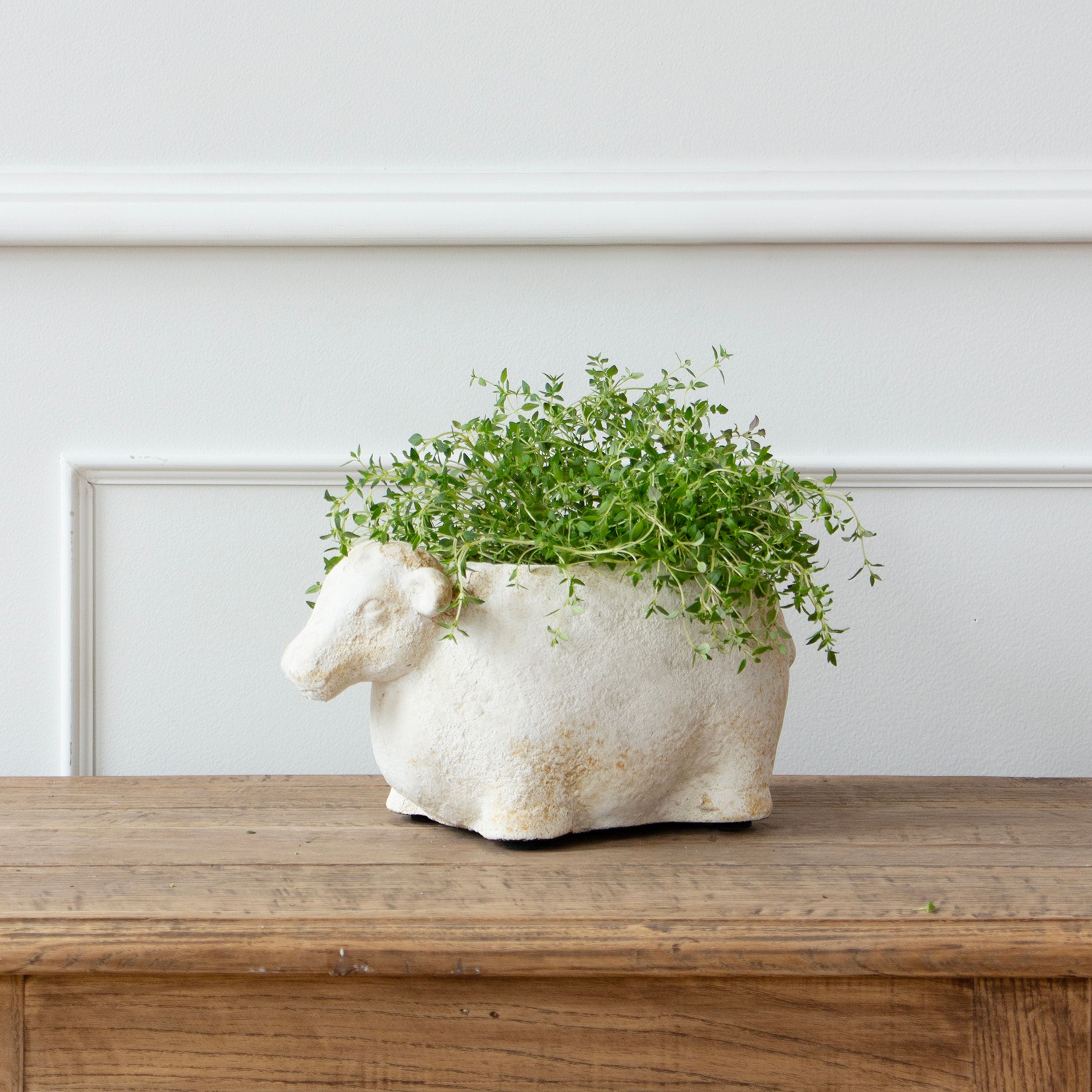 French Country Sheep Flower Planter