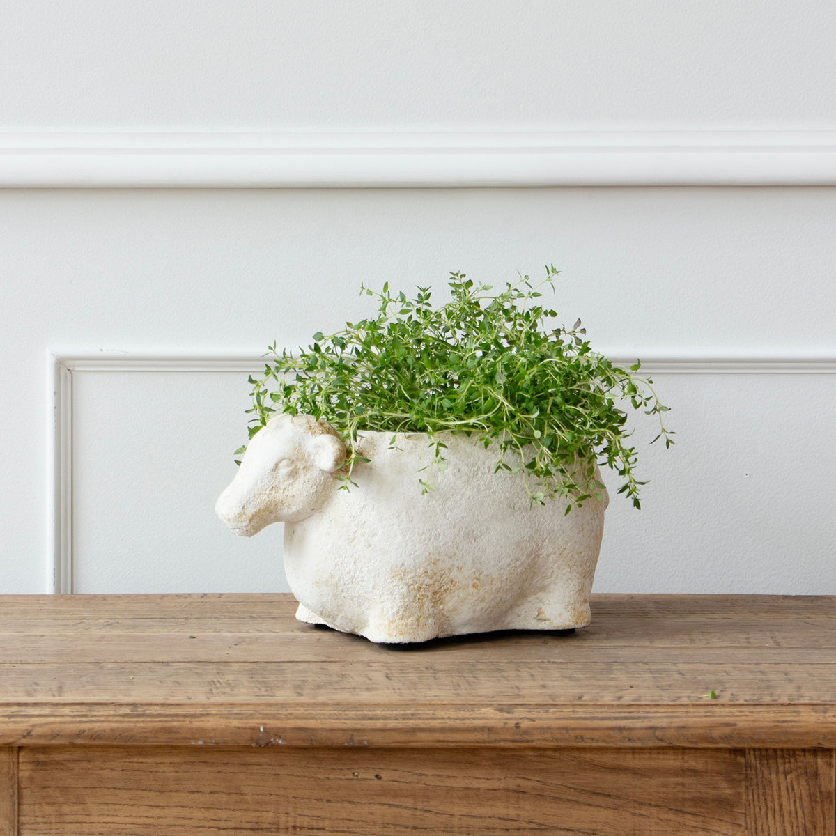 French Country Sheep Flower Planter