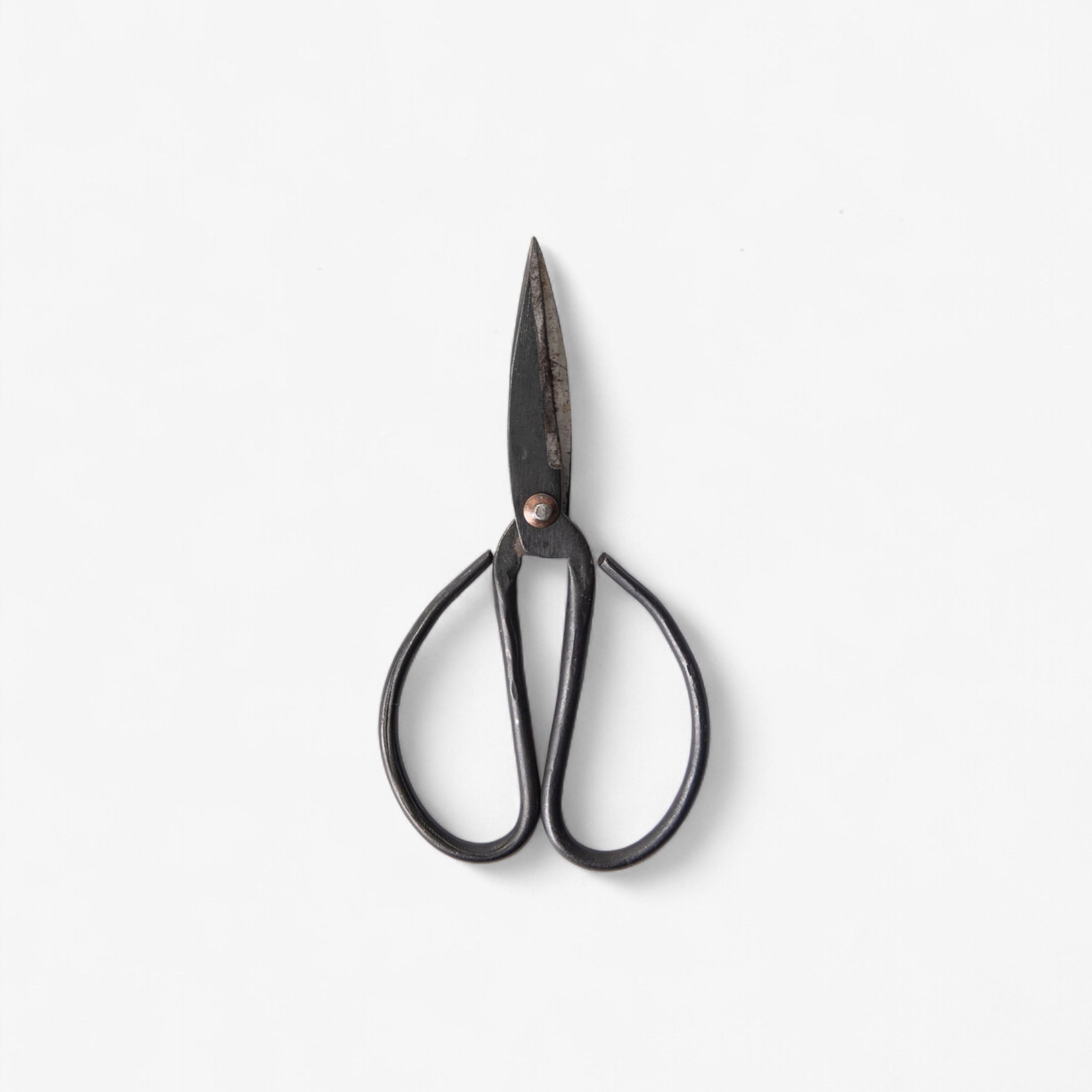 French Country Black Herb Scissors Medium