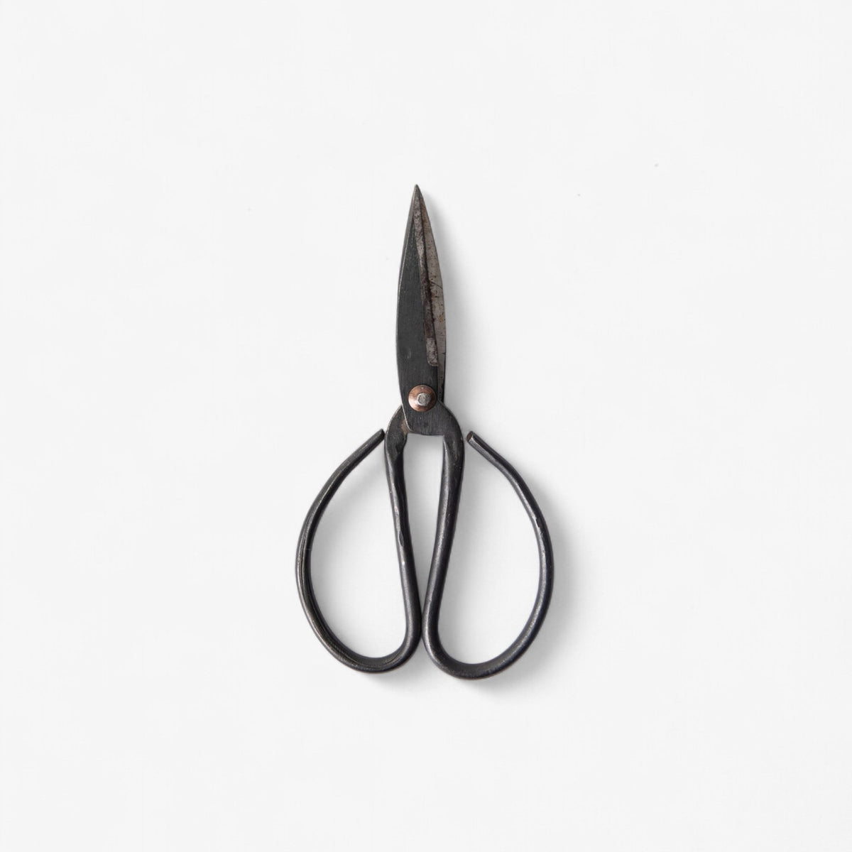 French Country Black Herb Scissors Medium