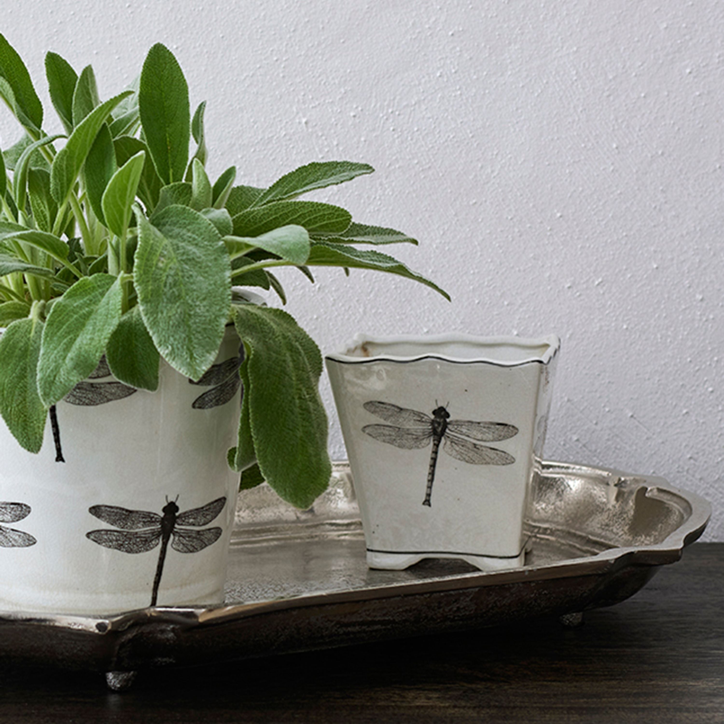 French Country Dragonfly Small Square Planter
