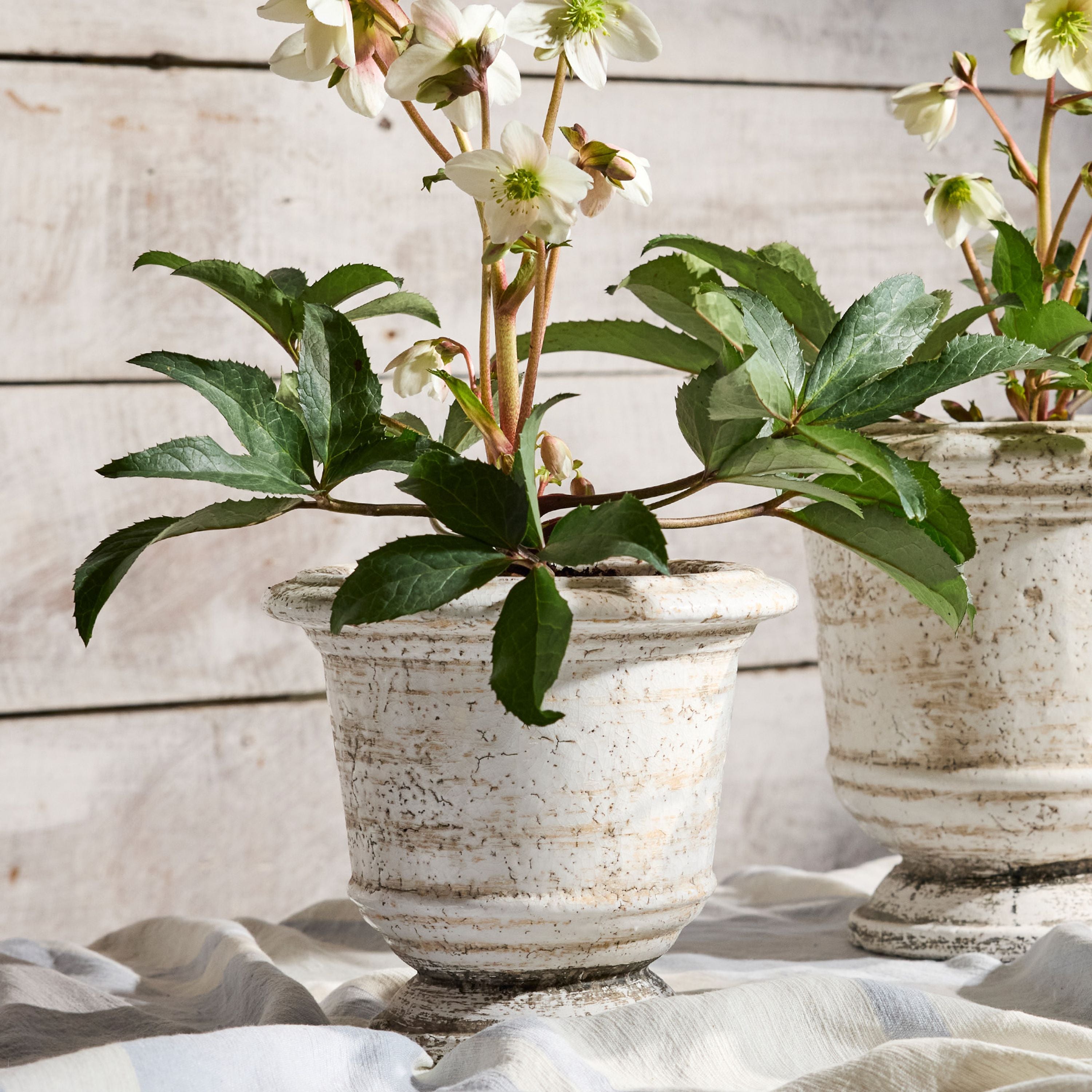 French Country Urn Planter Rustic White Large
