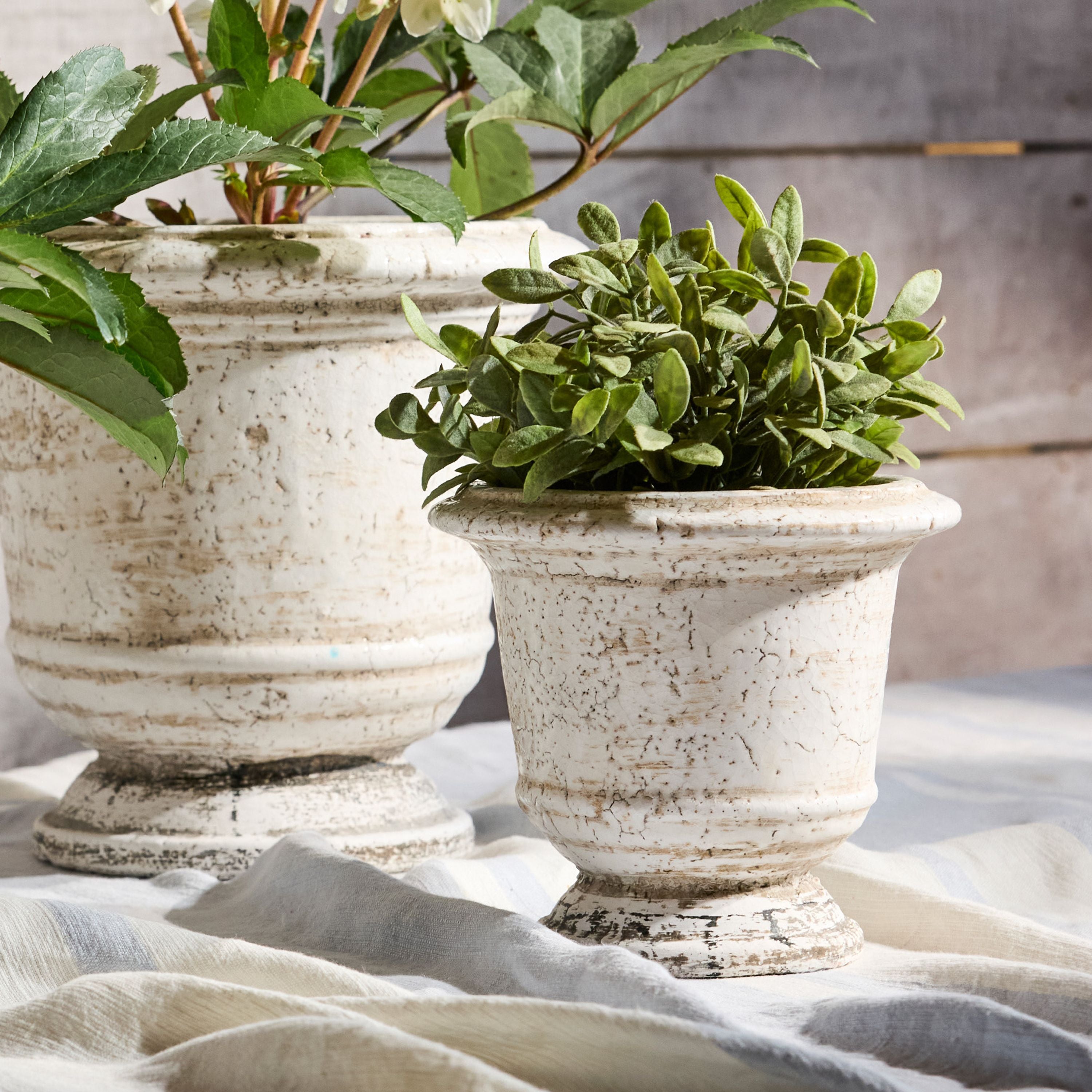 French Country Urn Planter Rustic White Small