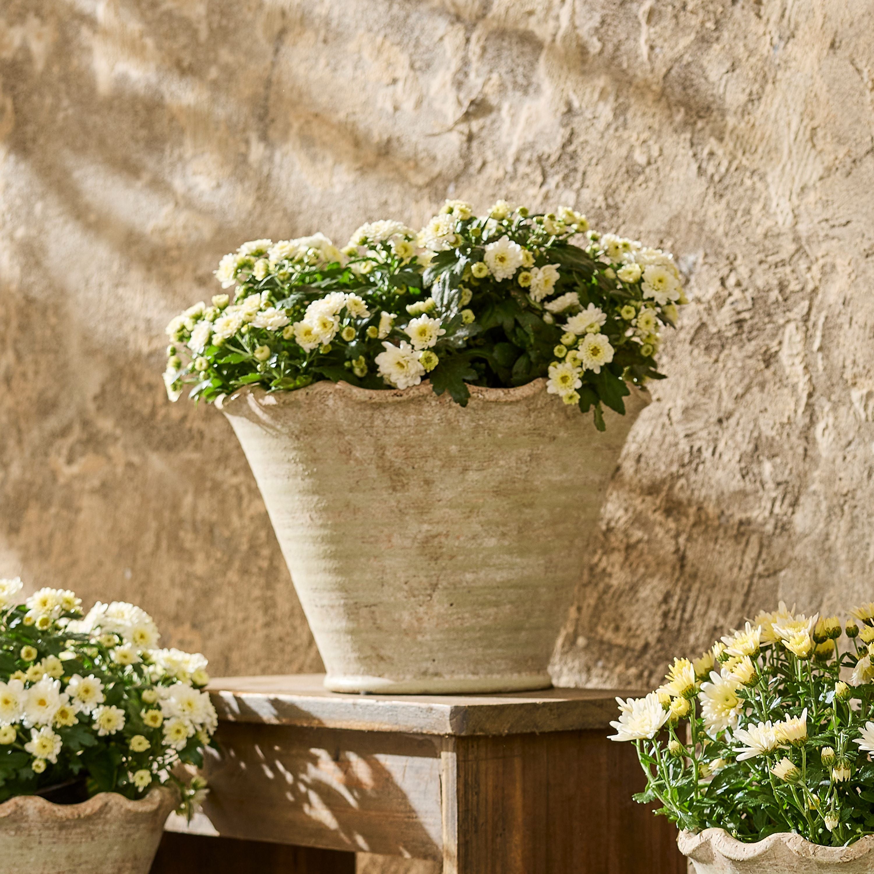 French Country Wavy Planter Large