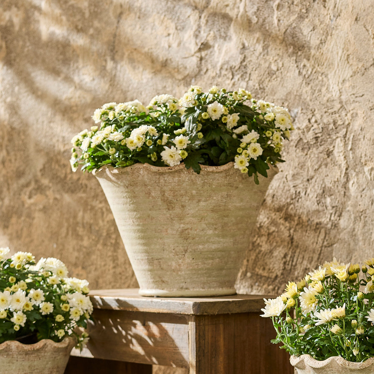French Country Wavy Planter Large
