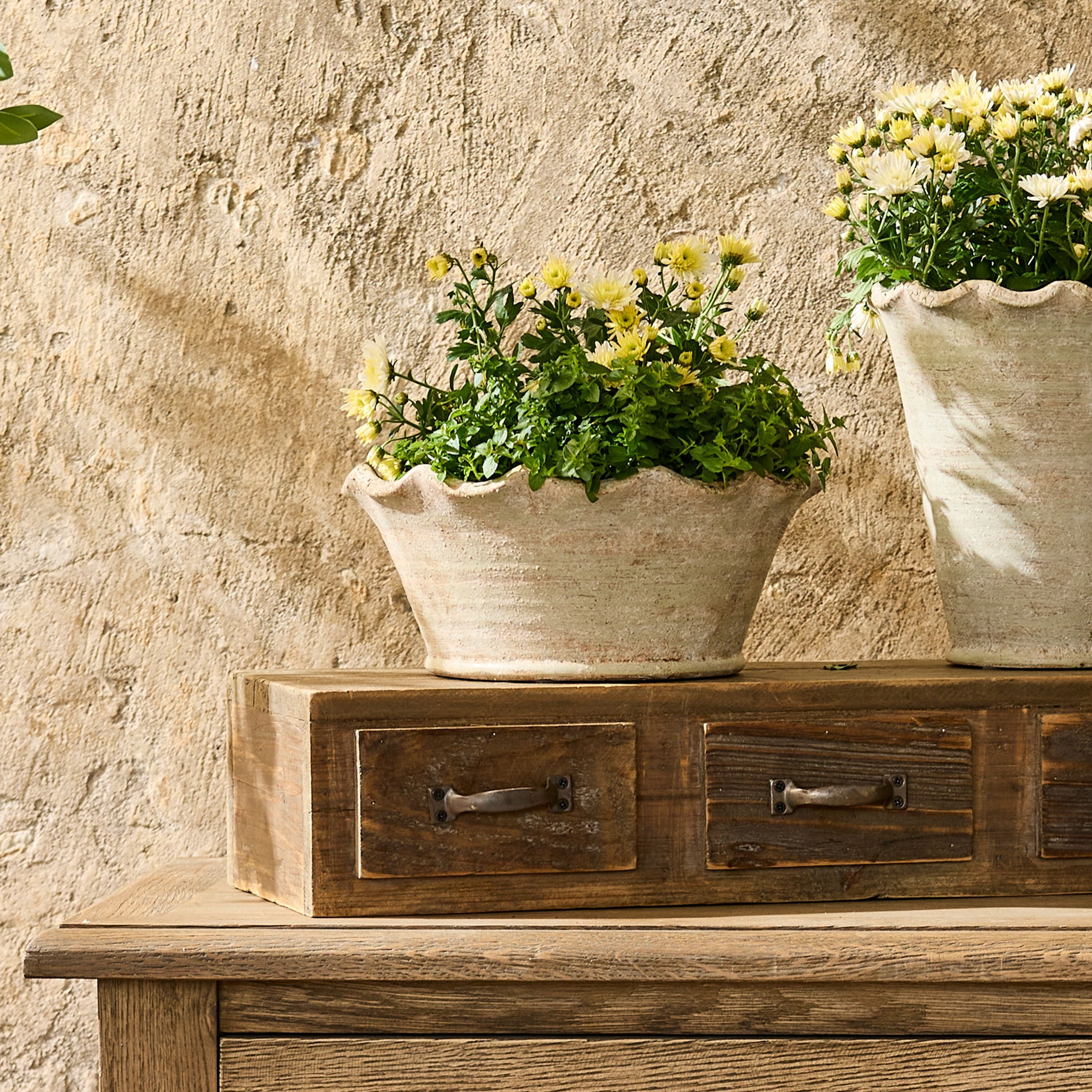 French Country Wavy Planter Bowl