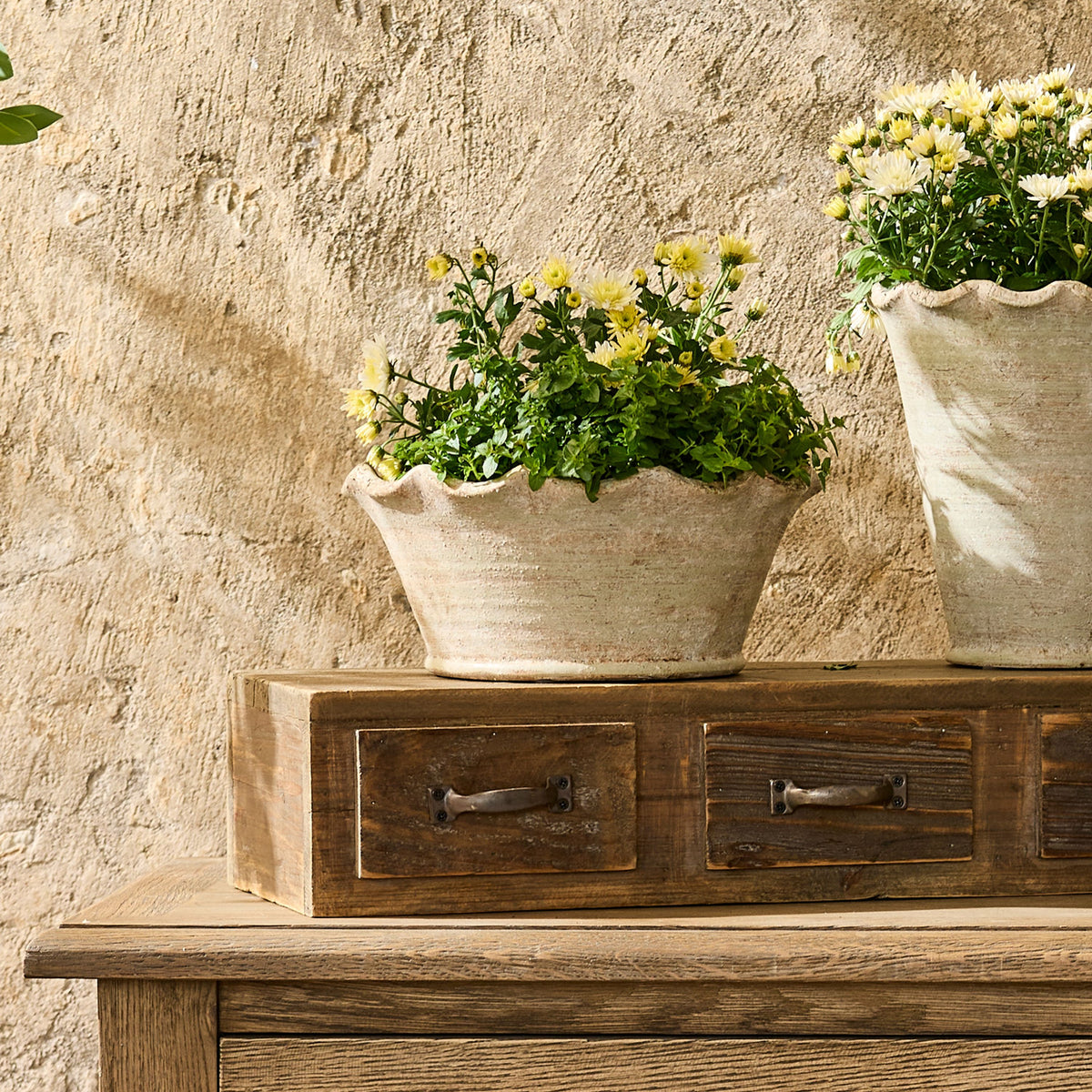 French Country Wavy Planter Bowl