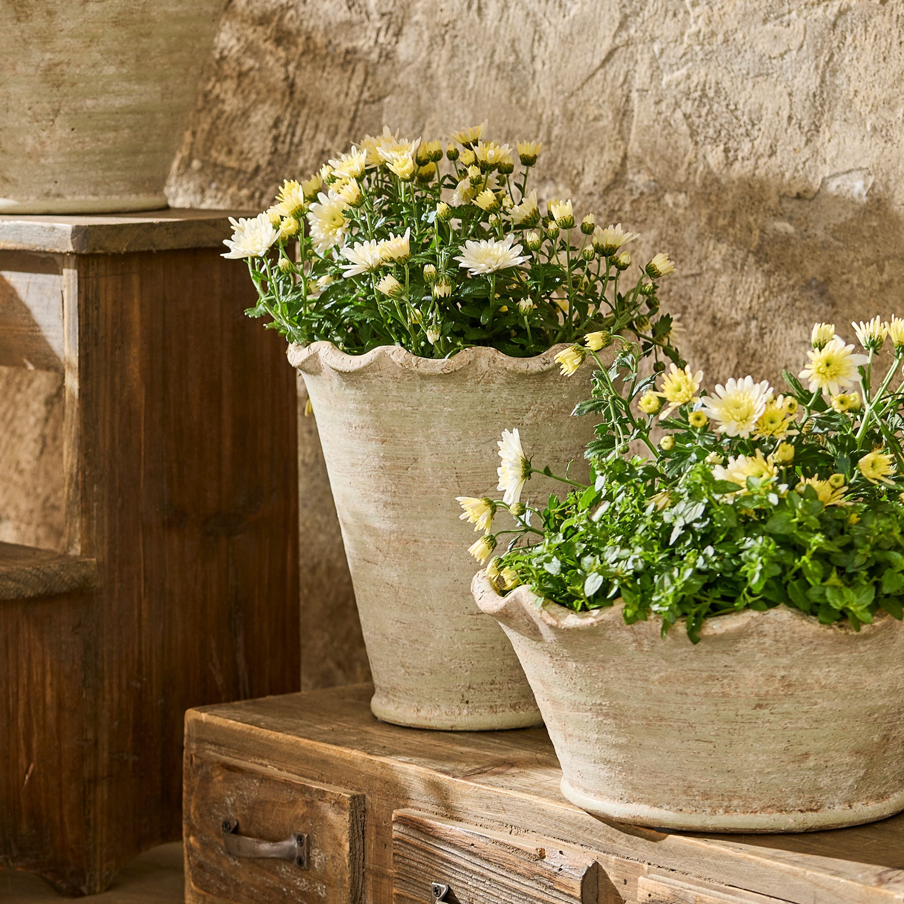 French Country Wavy Planter Vase