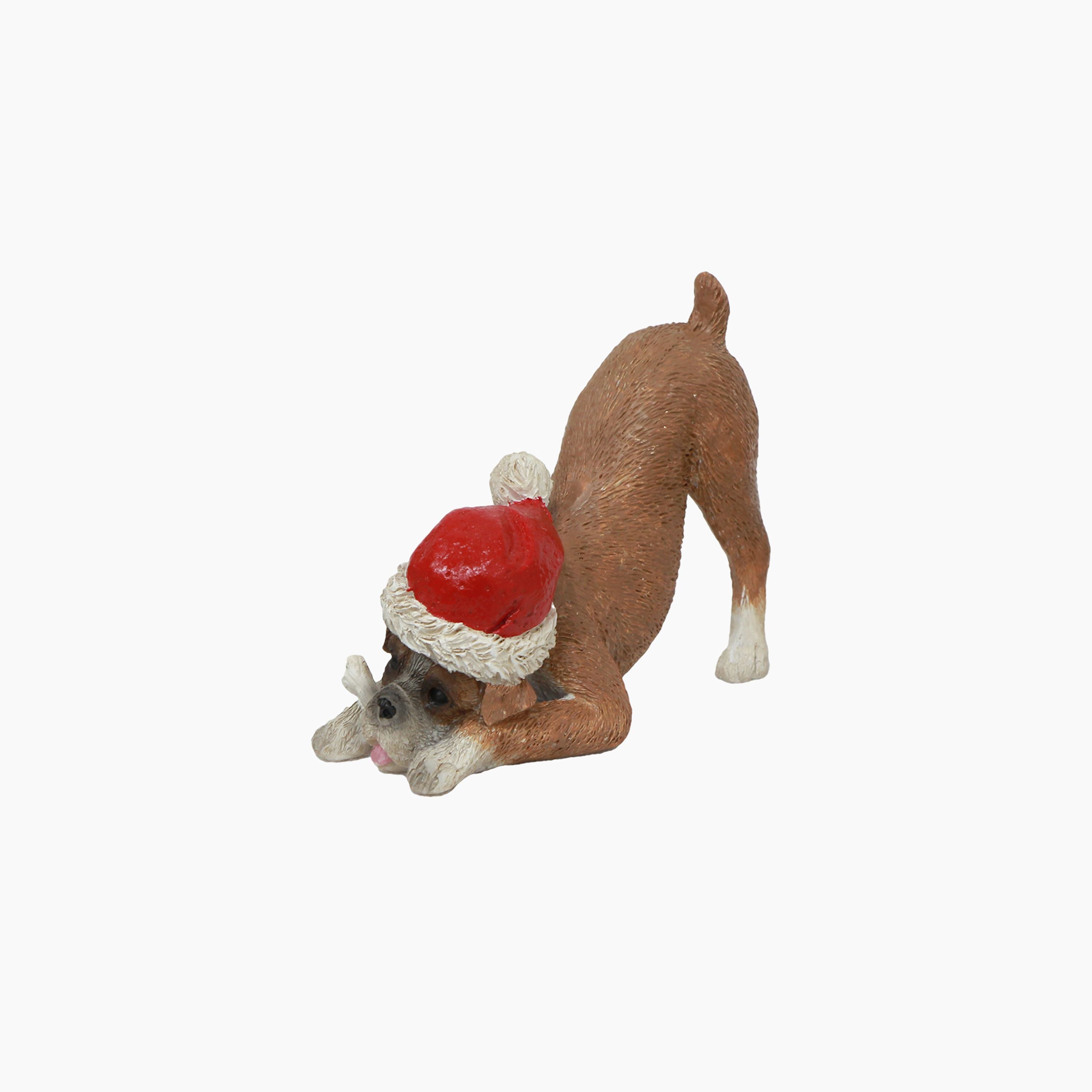 French Country Boxer with Santa Hat