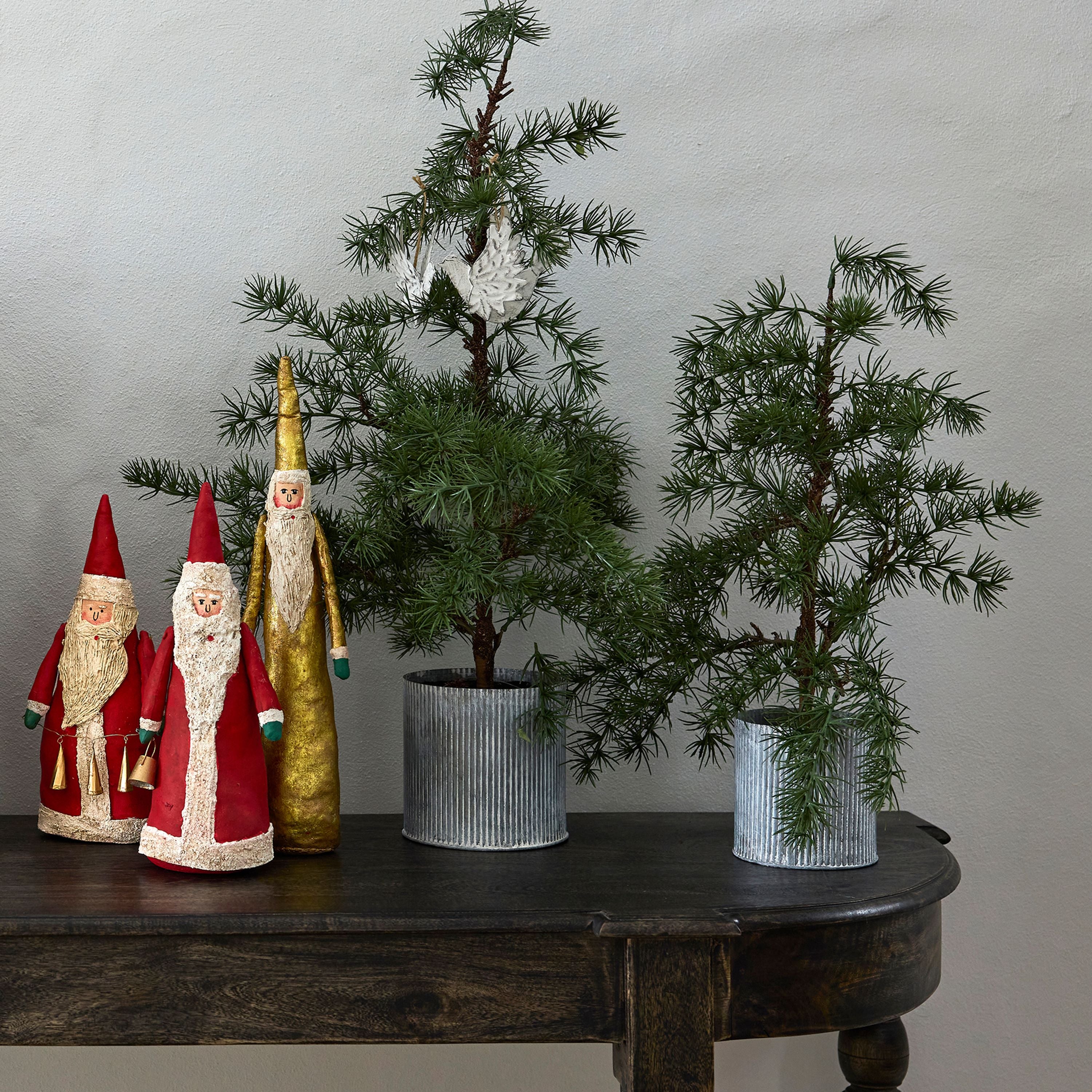 French Country Potted Fraser Fir Tree Small