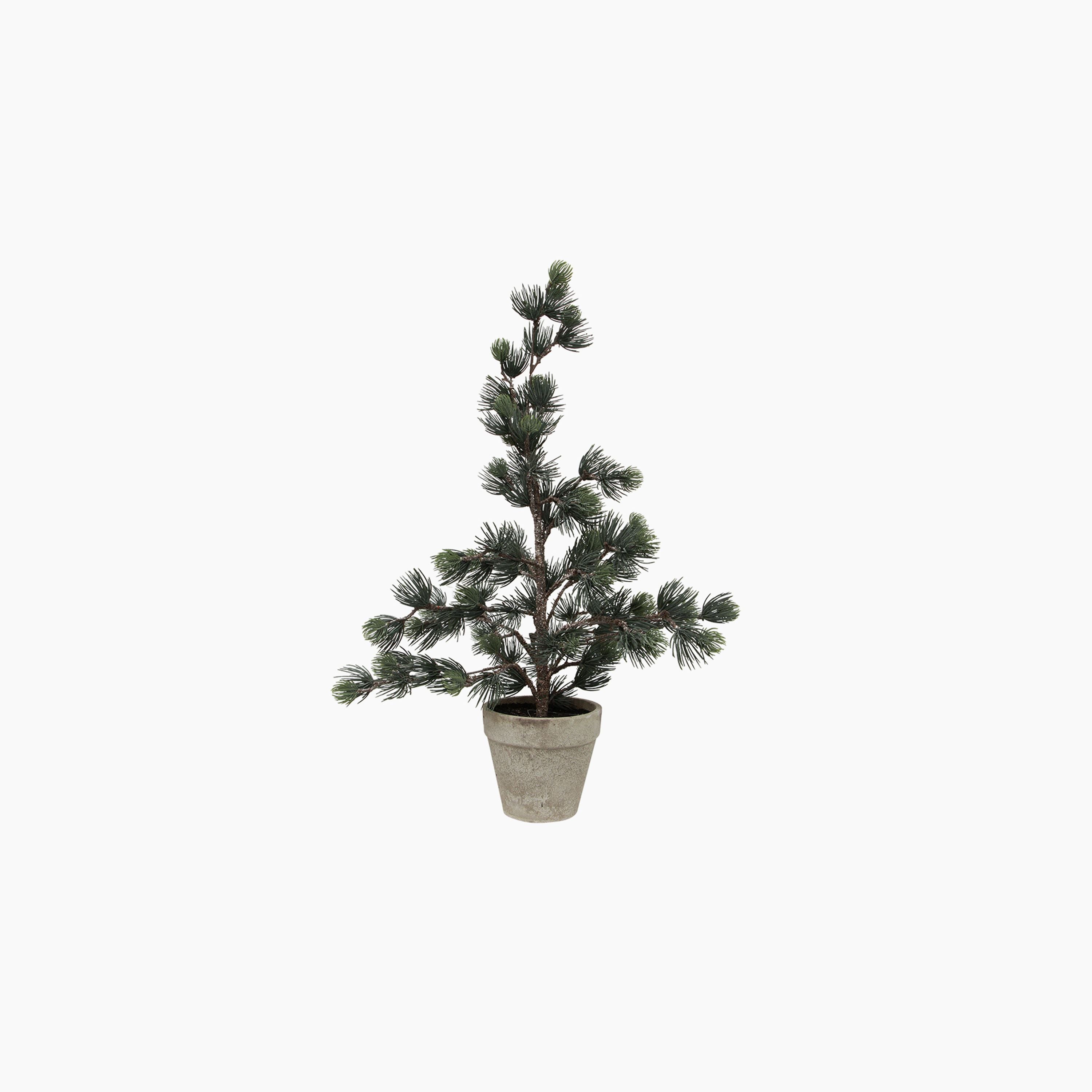 French Country Pine Tree Dusty Extra Small