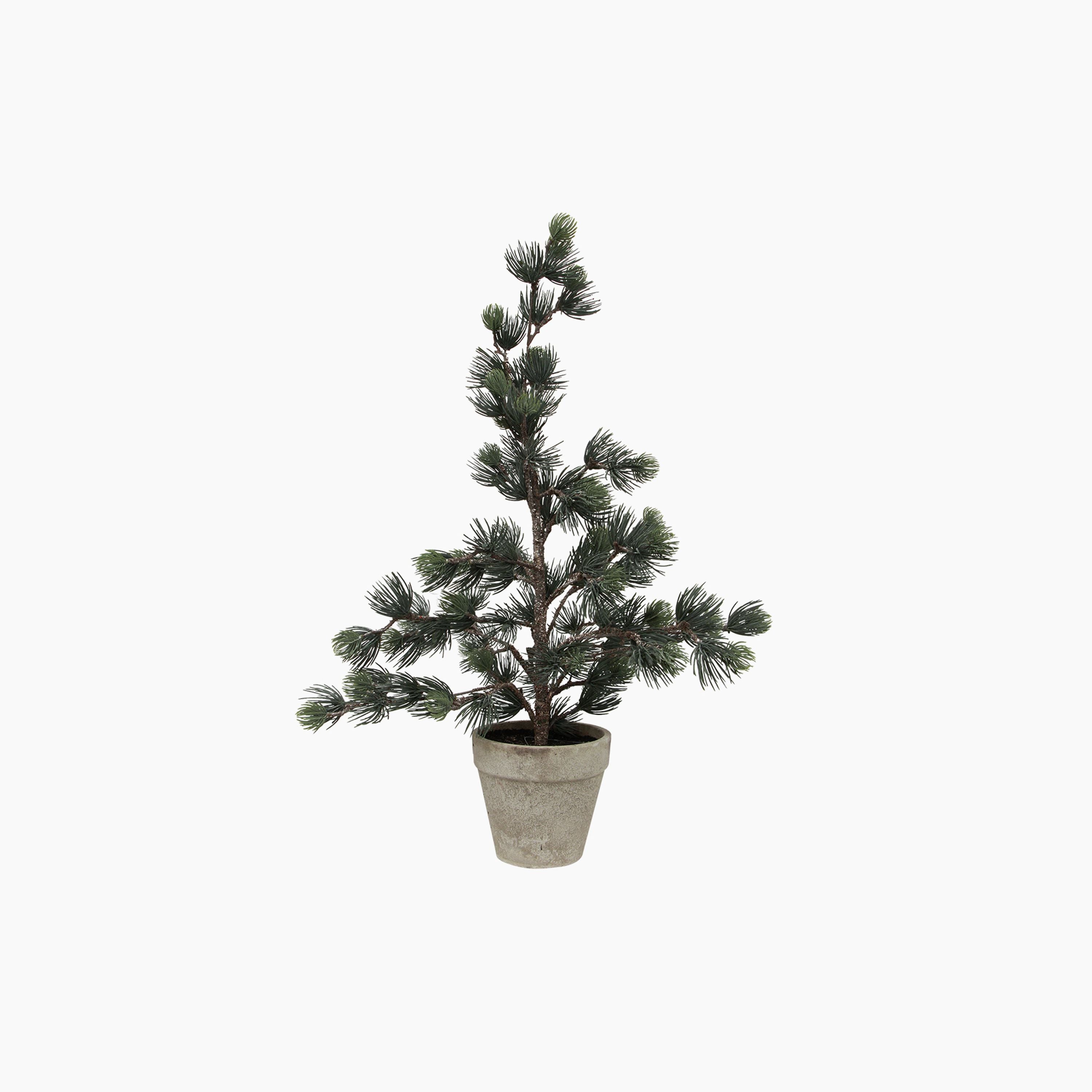 French Country Pine Tree Dusty Small