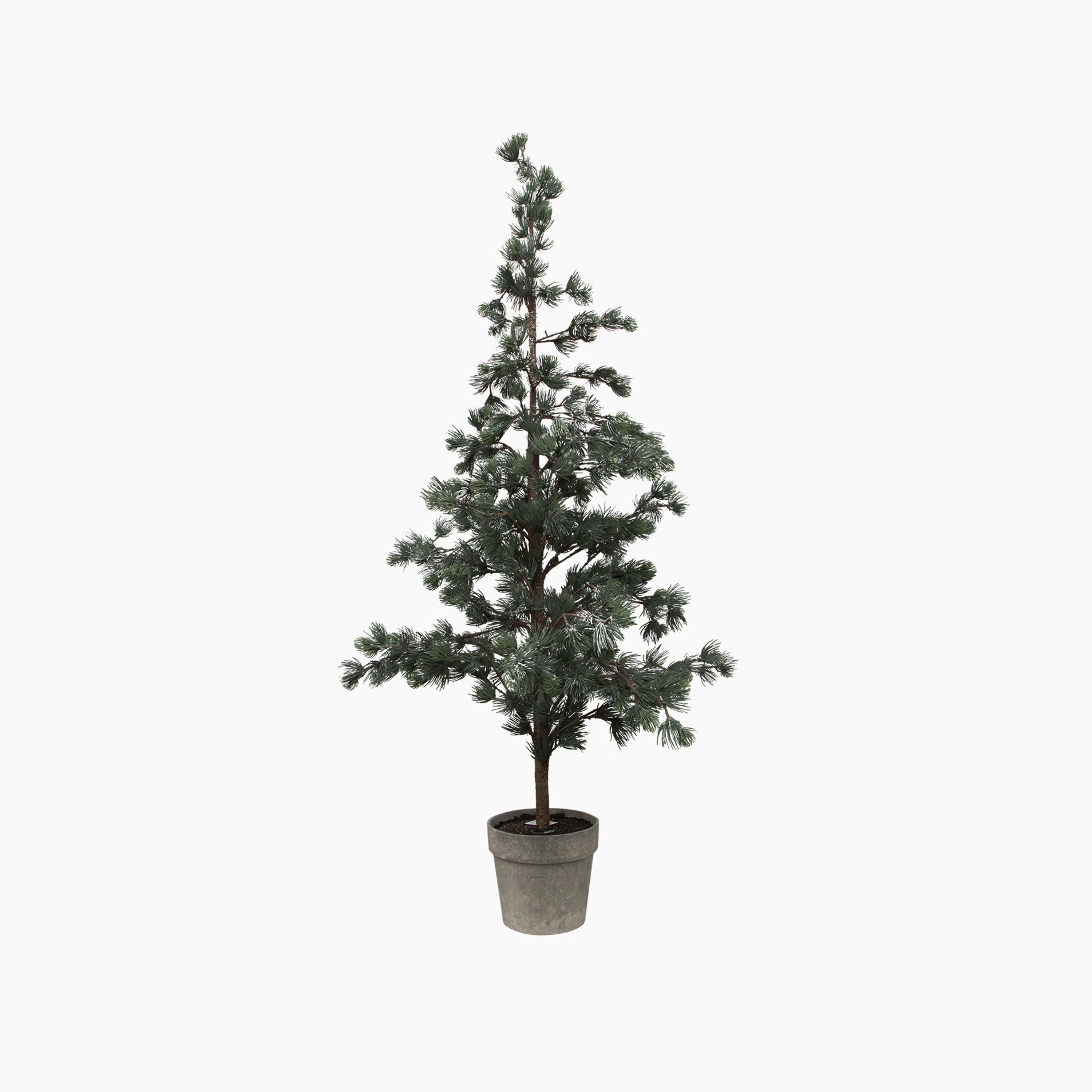 French Country Pine Tree Dusty Medium