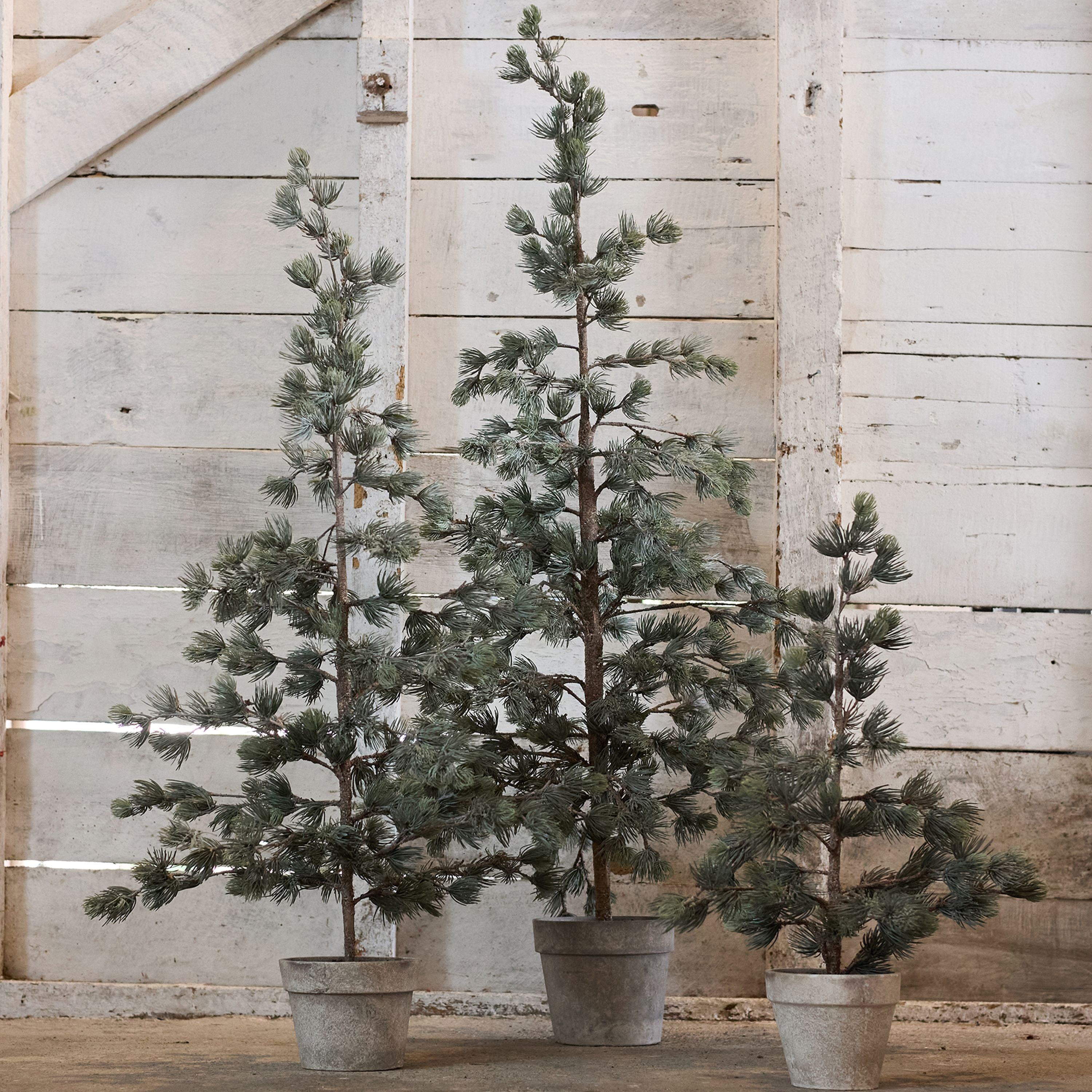 French Country Pine Tree Dusty Medium