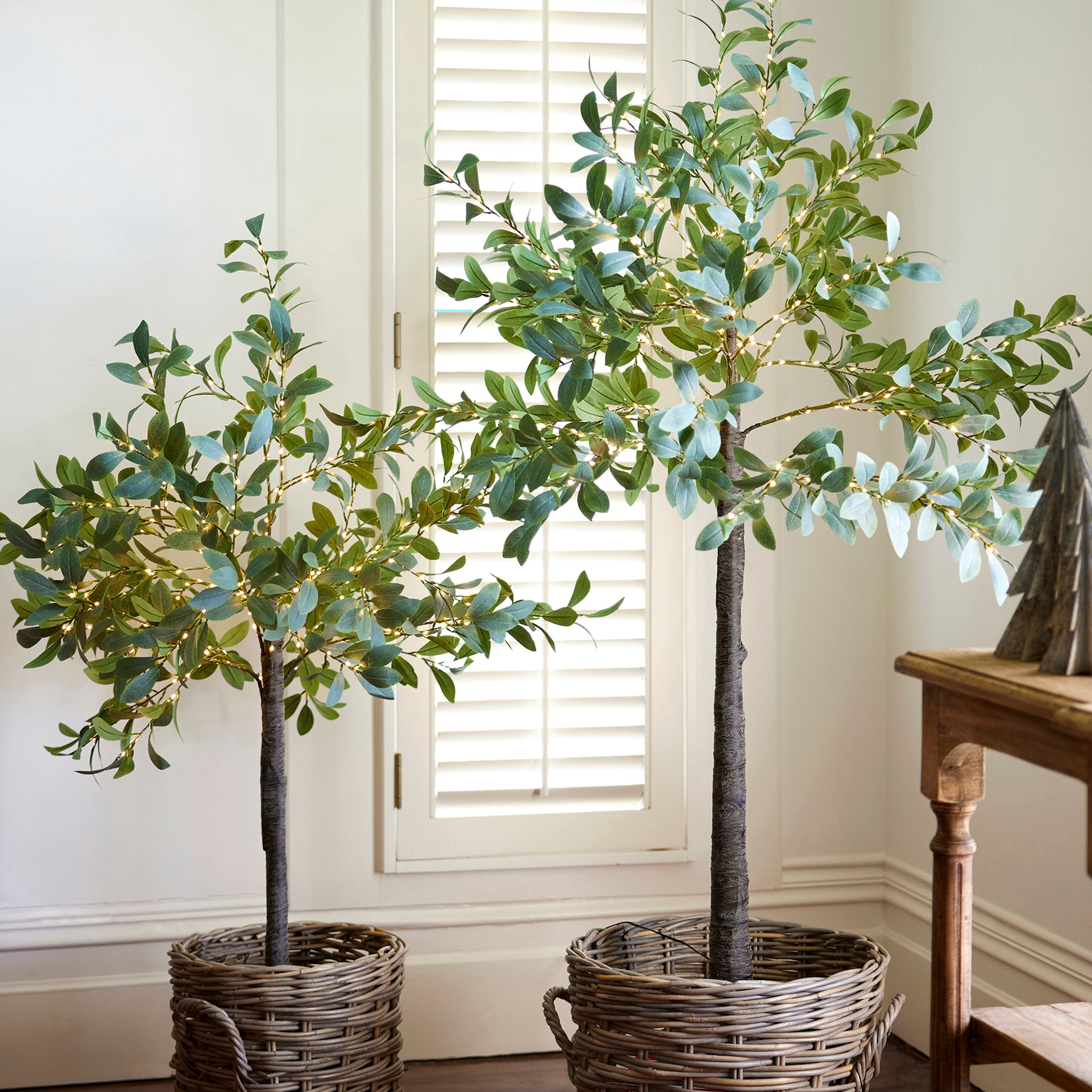 French Country Olive Tree Light Up Dark Leaf Large