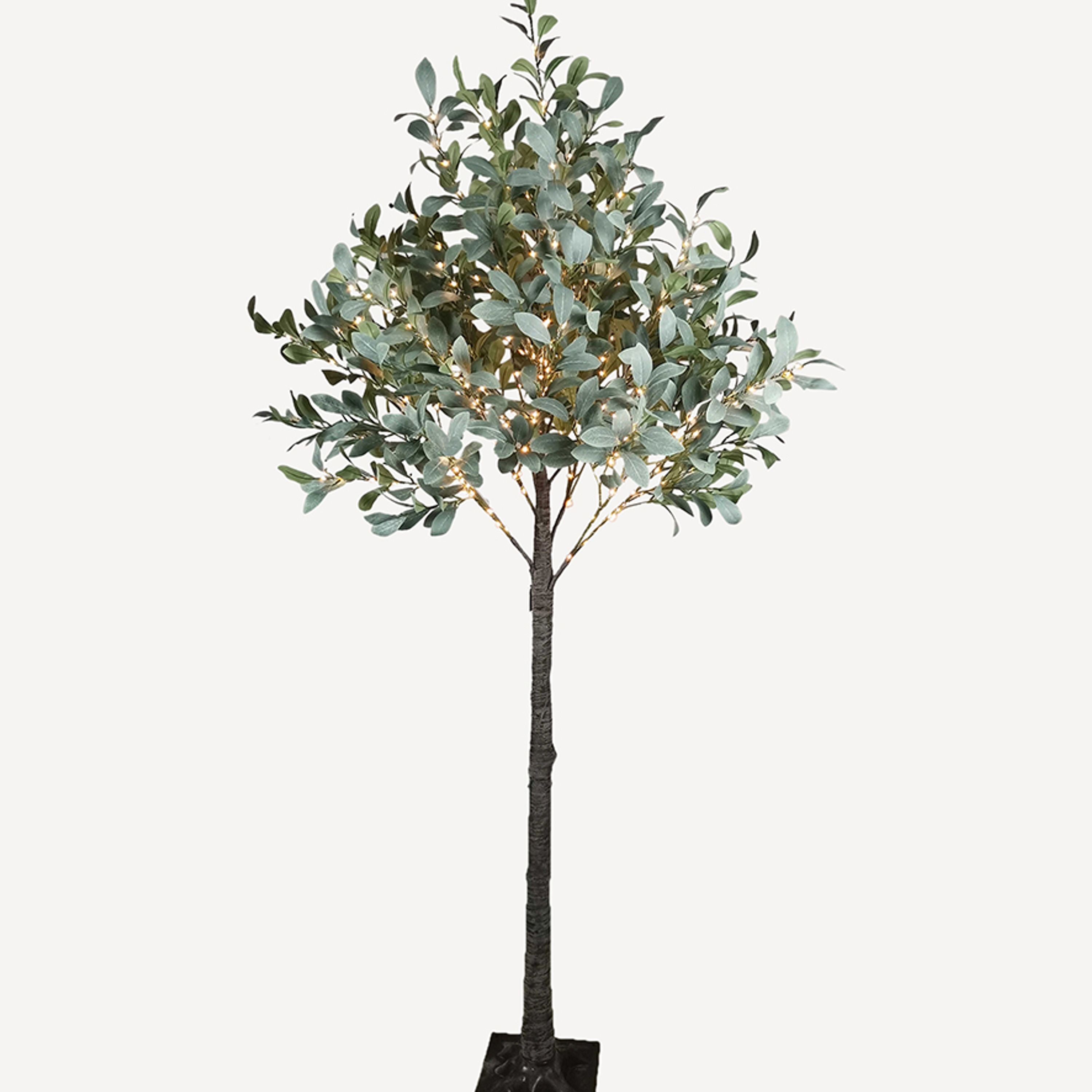 French Country Olive Tree Light Up Dark Leaf Large