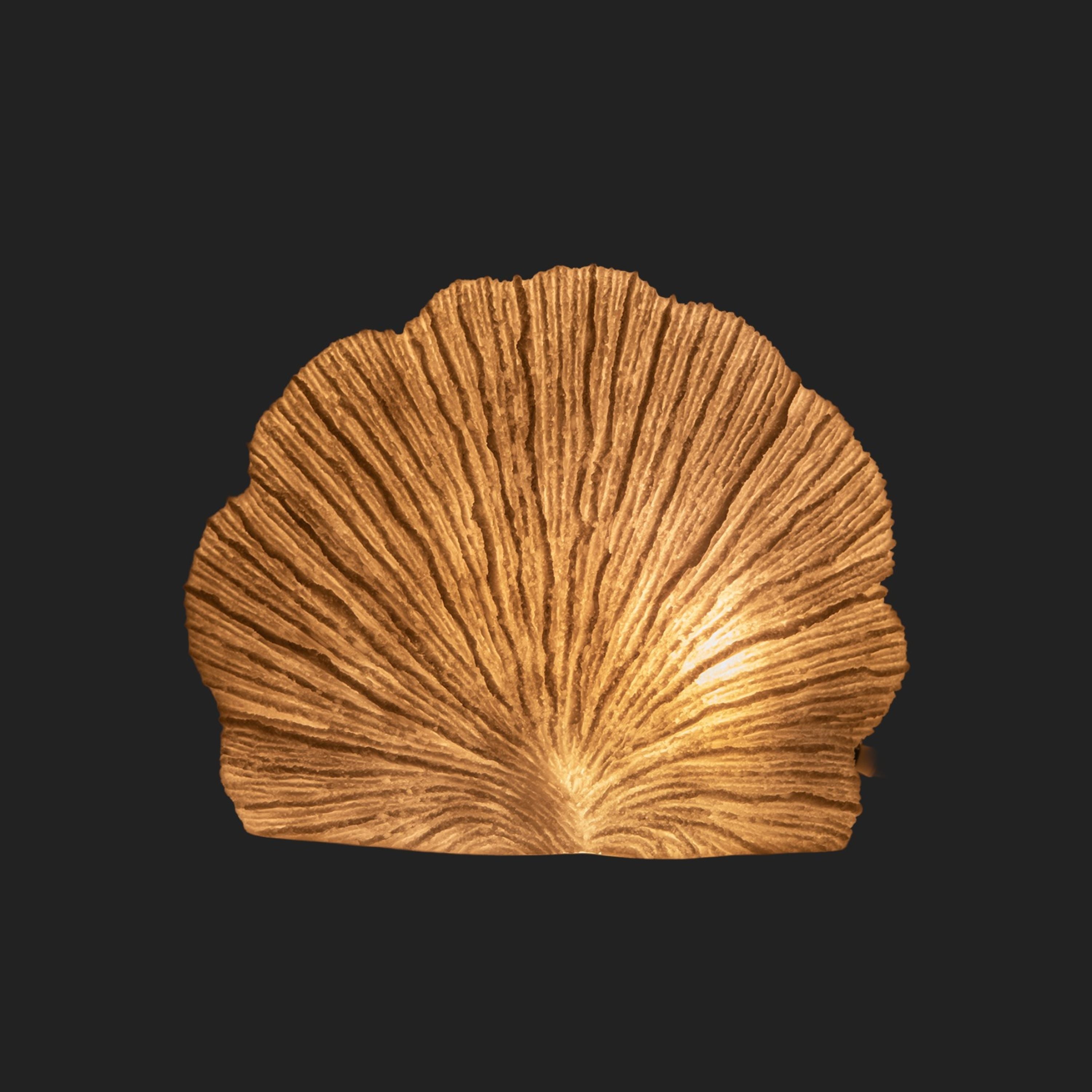 French Country Flat Coral Decorative Lamp