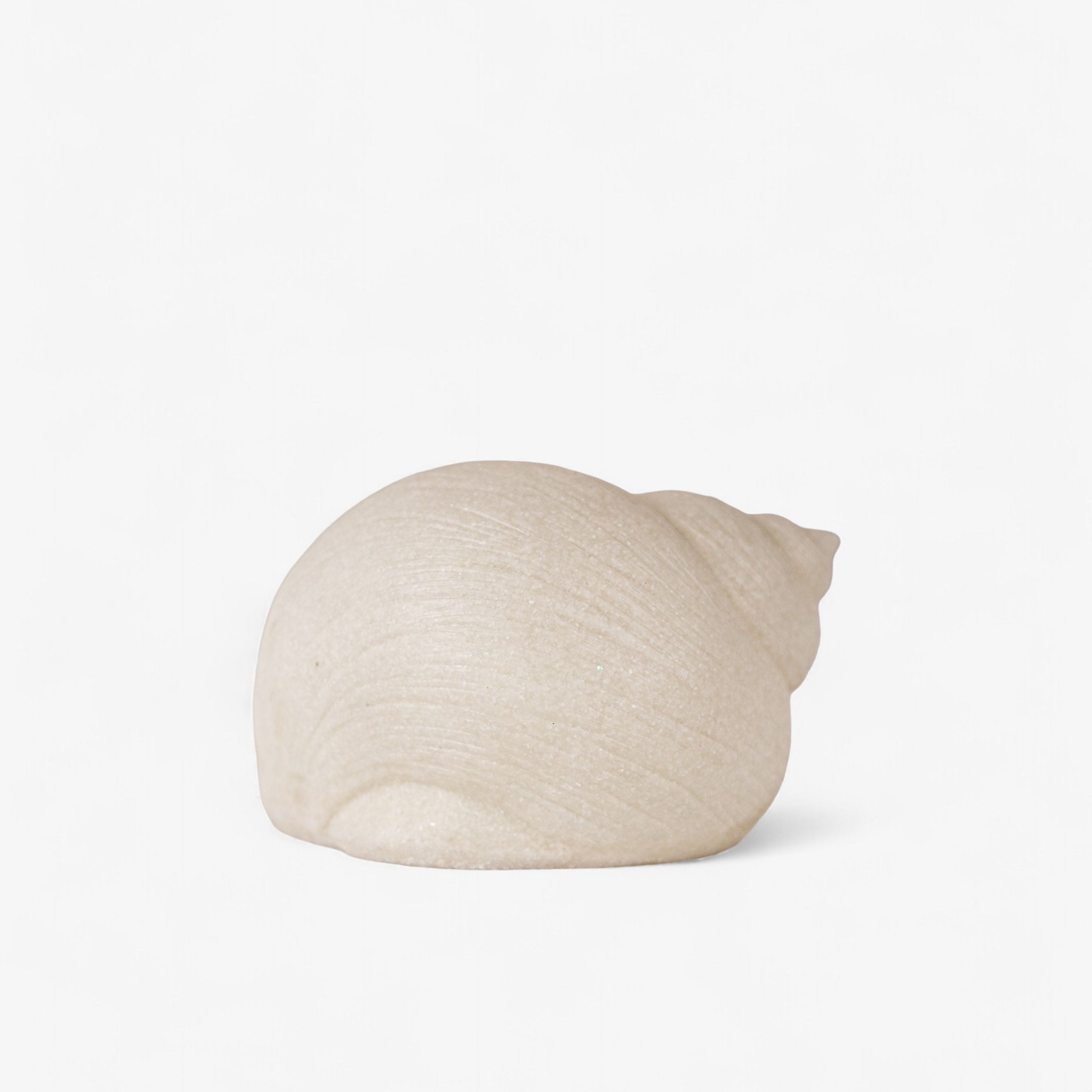 French Country Snail Shell Decorative Light Up