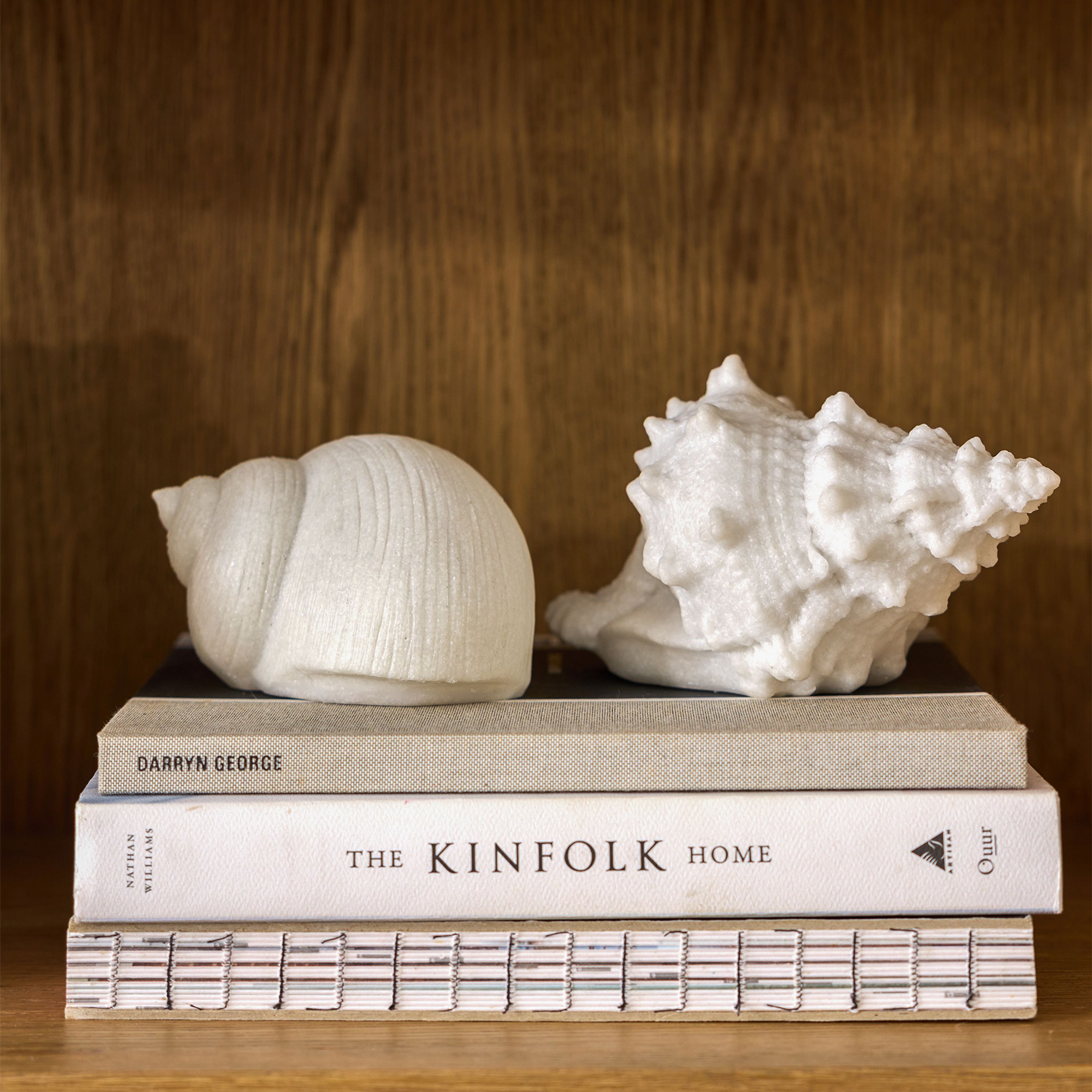 French Country Snail Shell Decorative Light Up