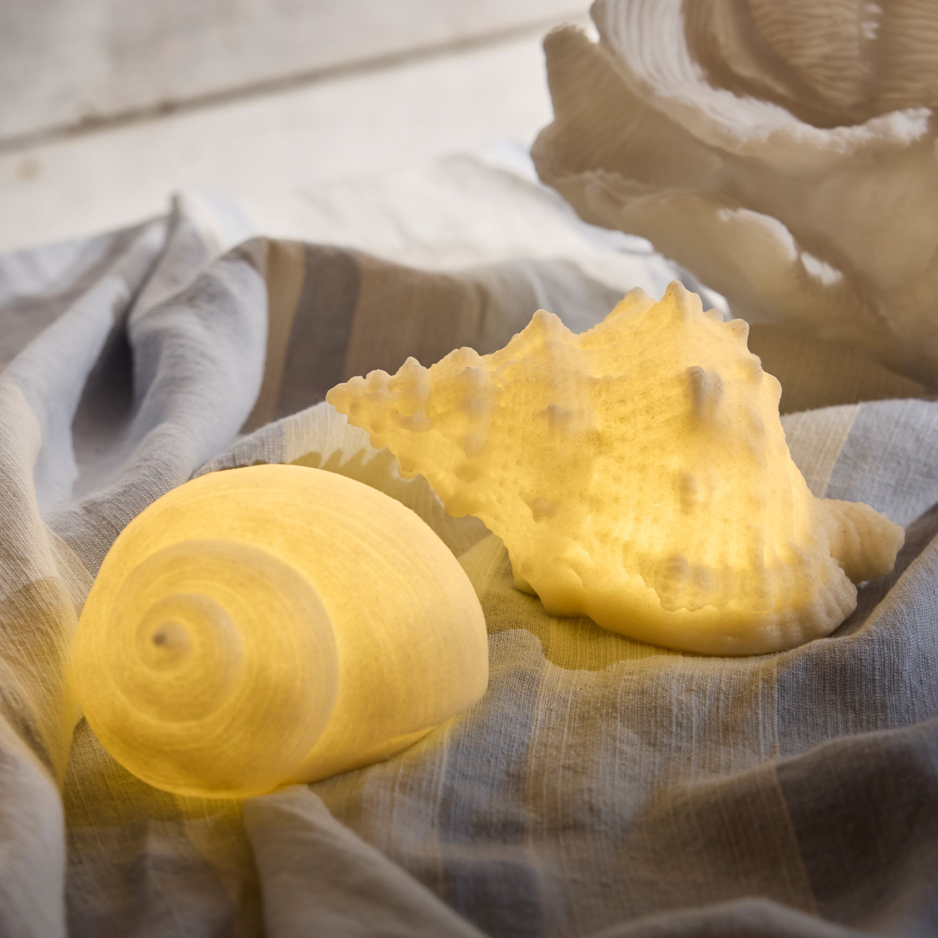 French Country Conch Shell Decorative Light Up