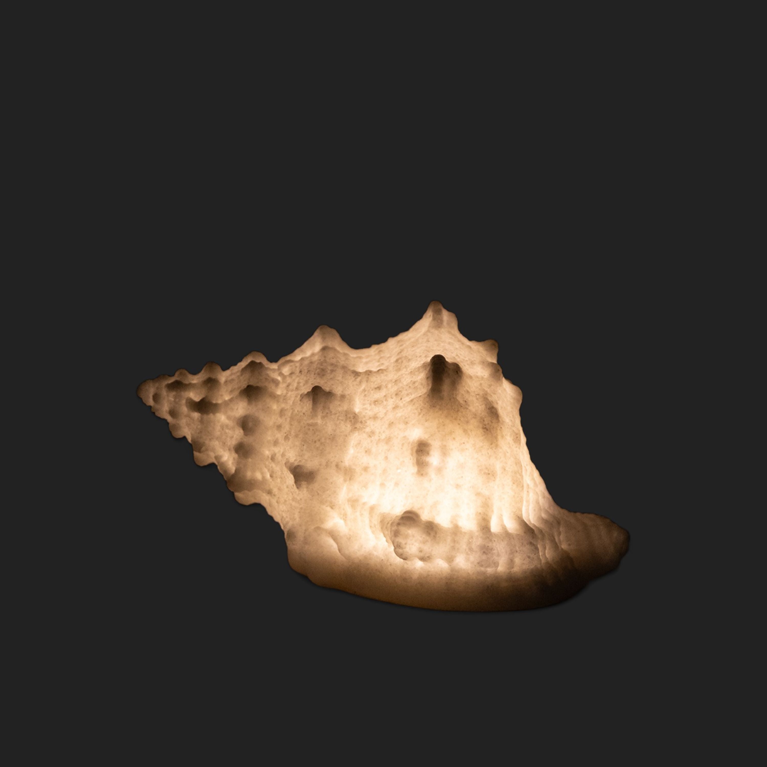 French Country Conch Shell Decorative Light Up