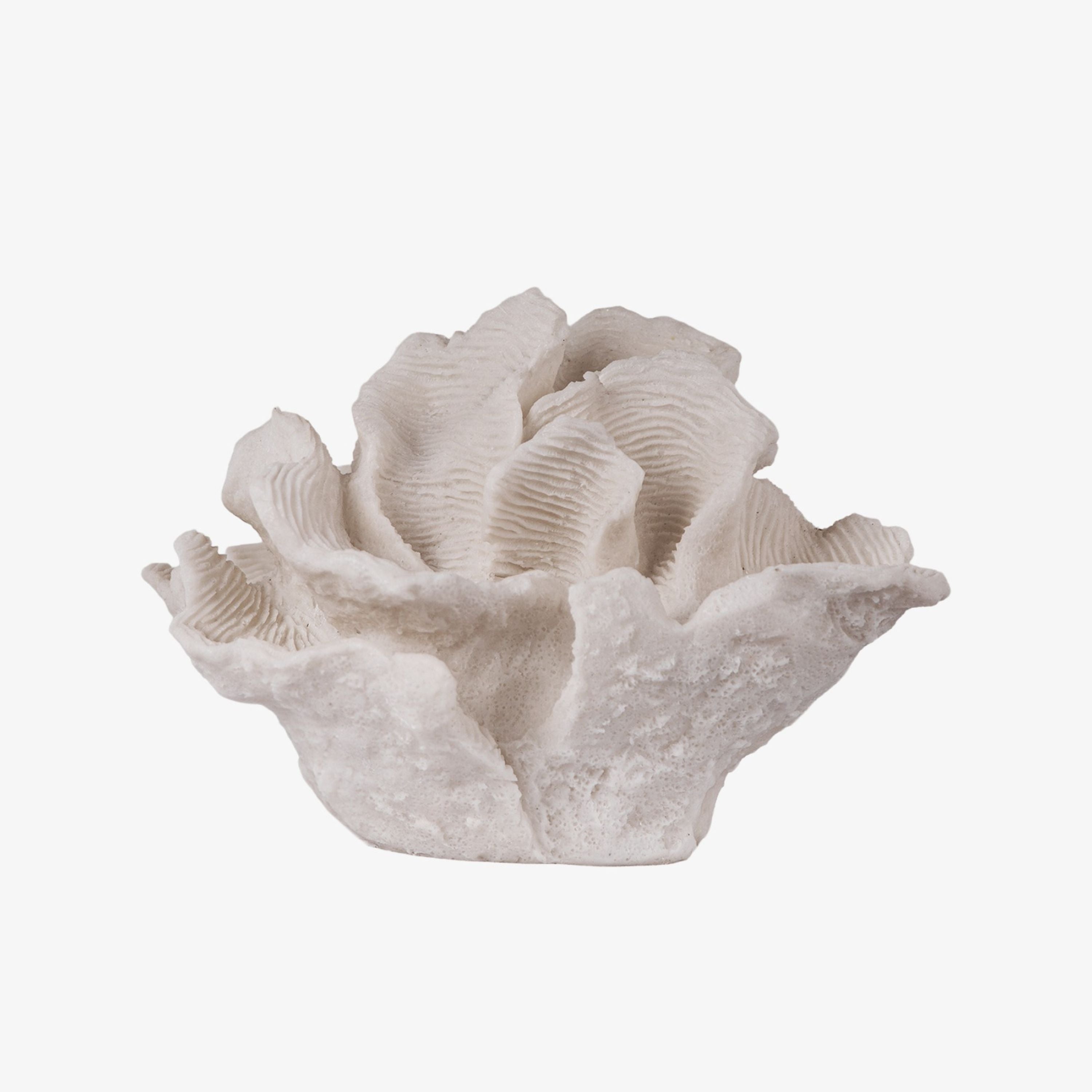 French Country Coral Decorative Lamp