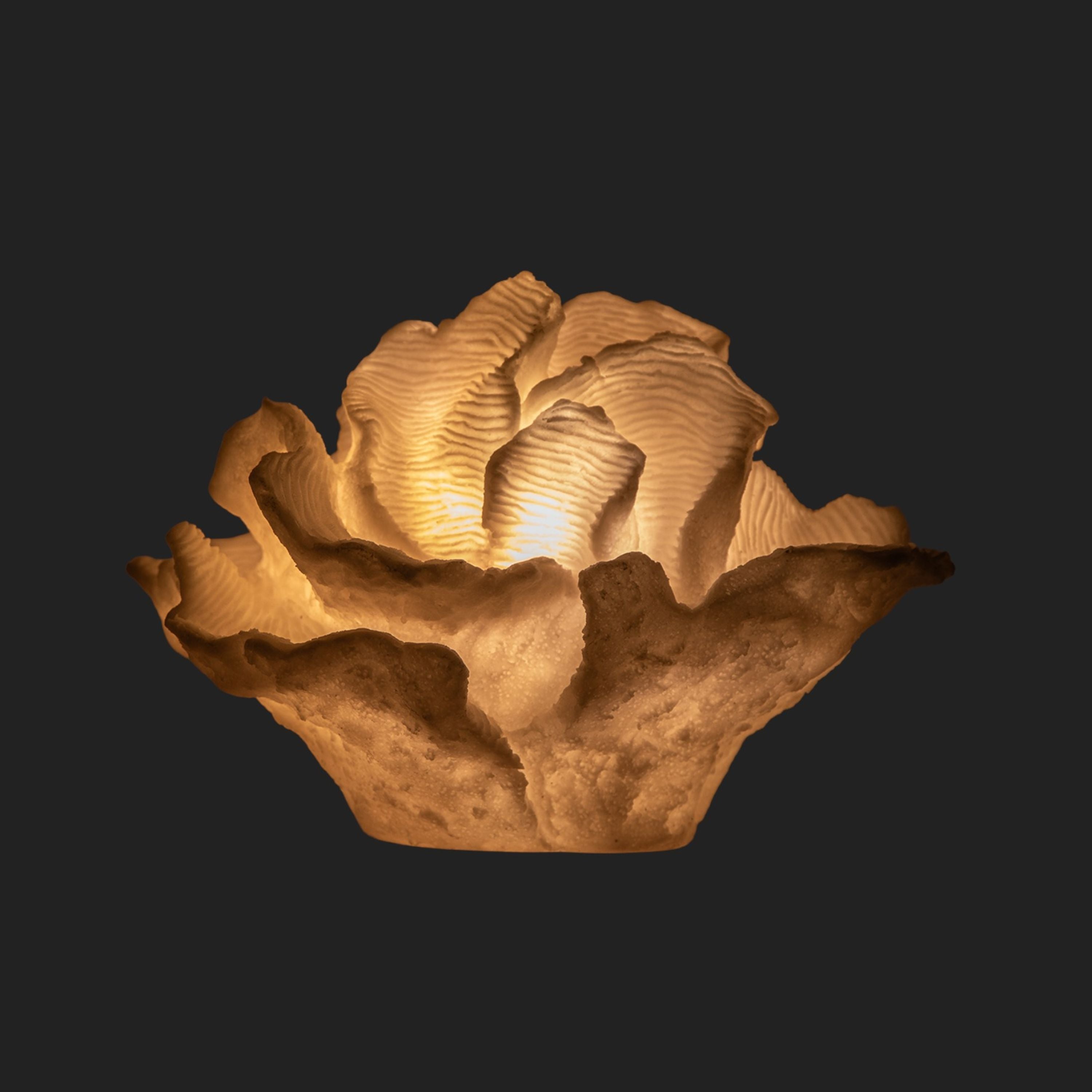 French Country Coral Decorative Lamp