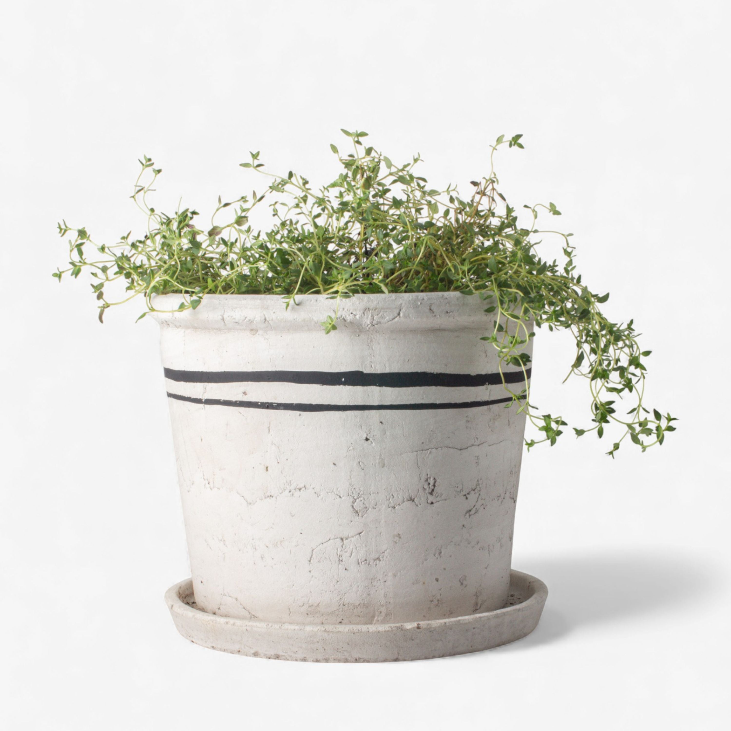 French Country Lisbon Herb Pot Large