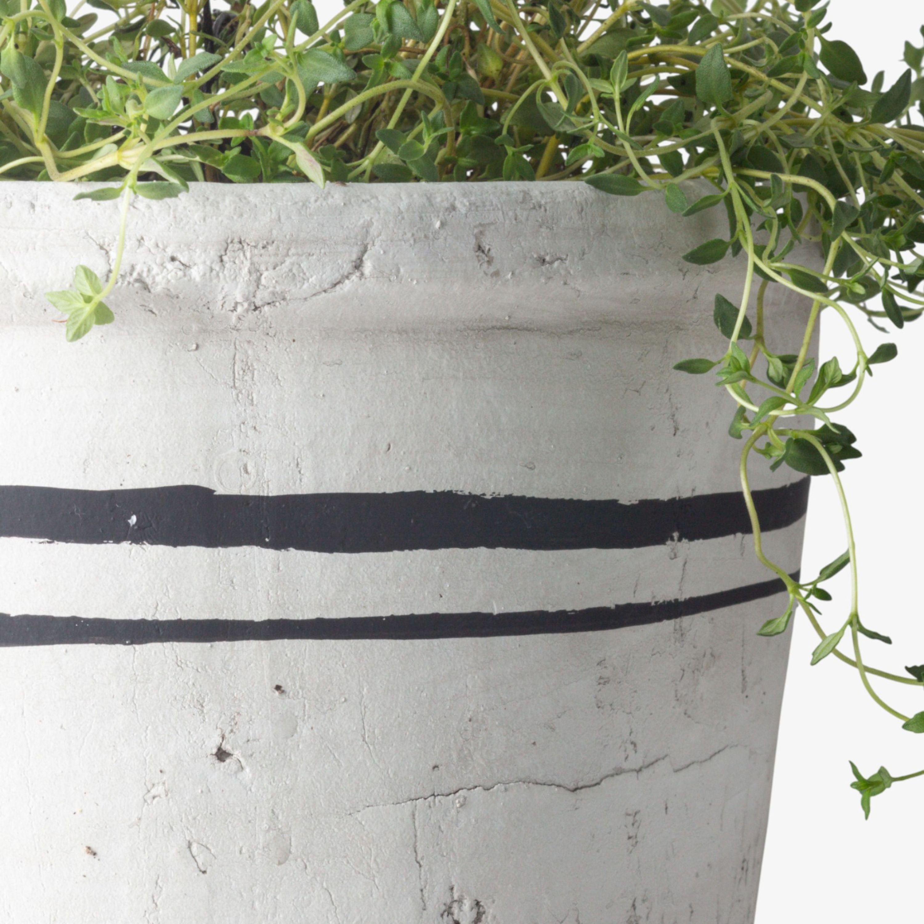 French Country Lisbon Herb Pot Large