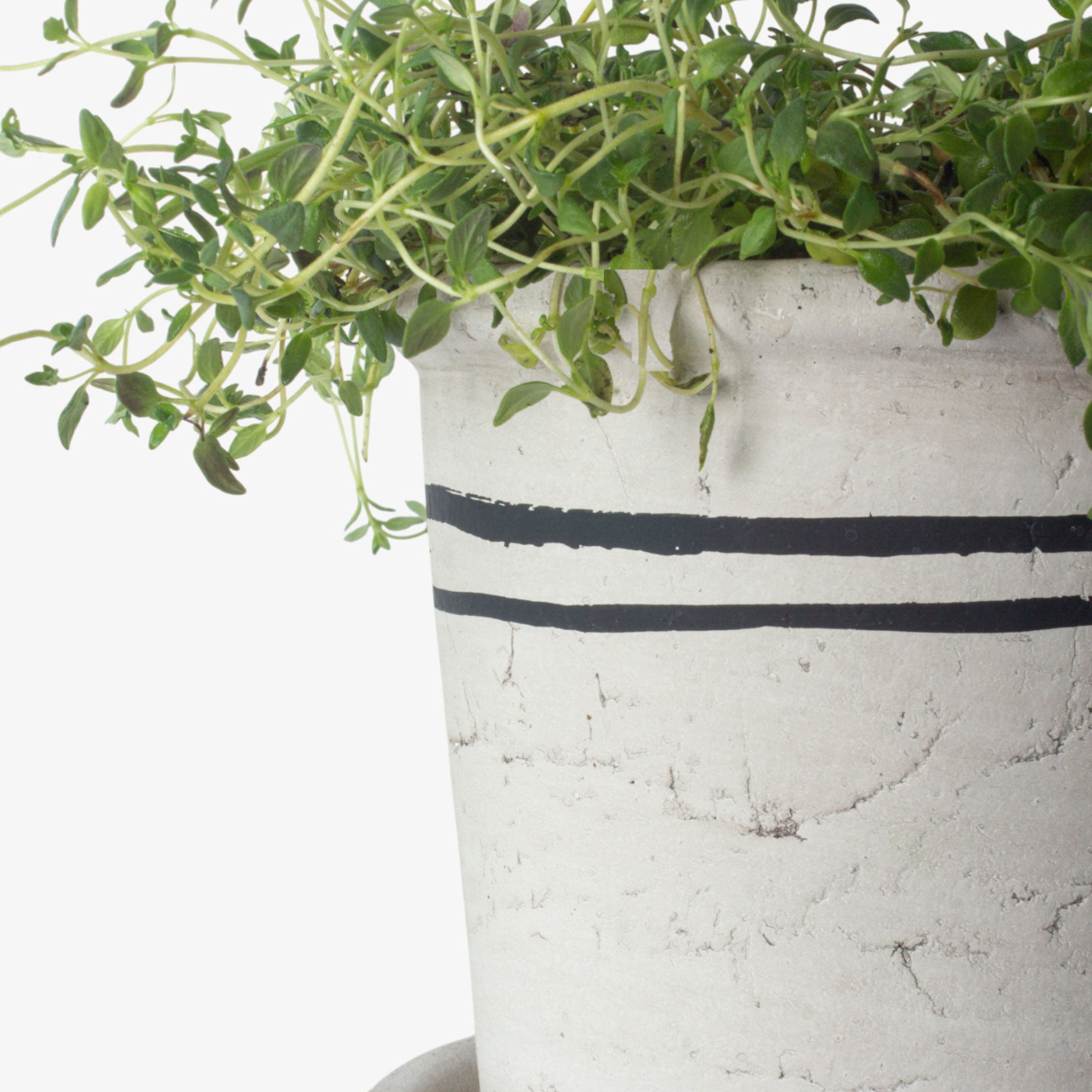 French Country Lisbon Herb Pot Medium