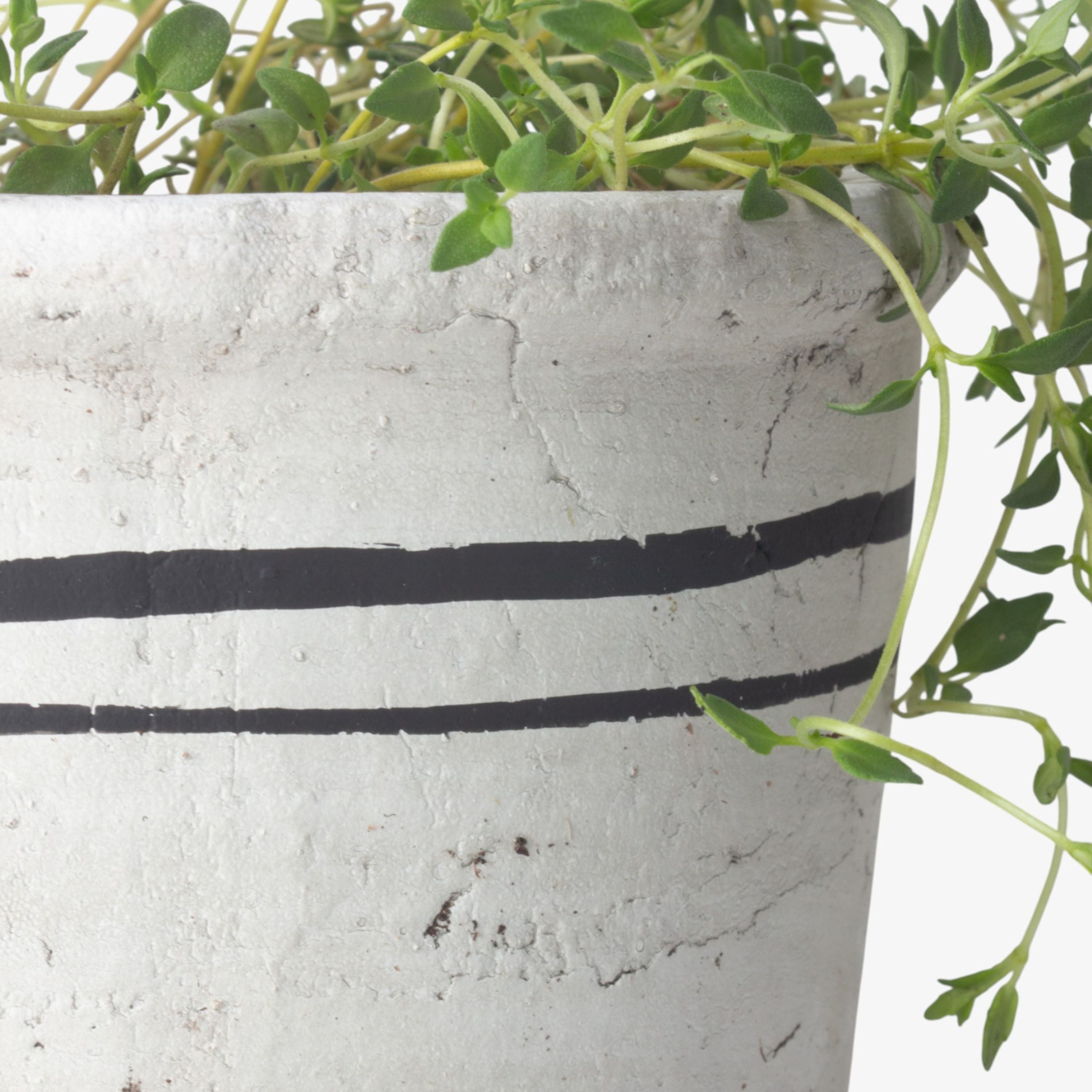 French Country Lisbon Herb Pot Small
