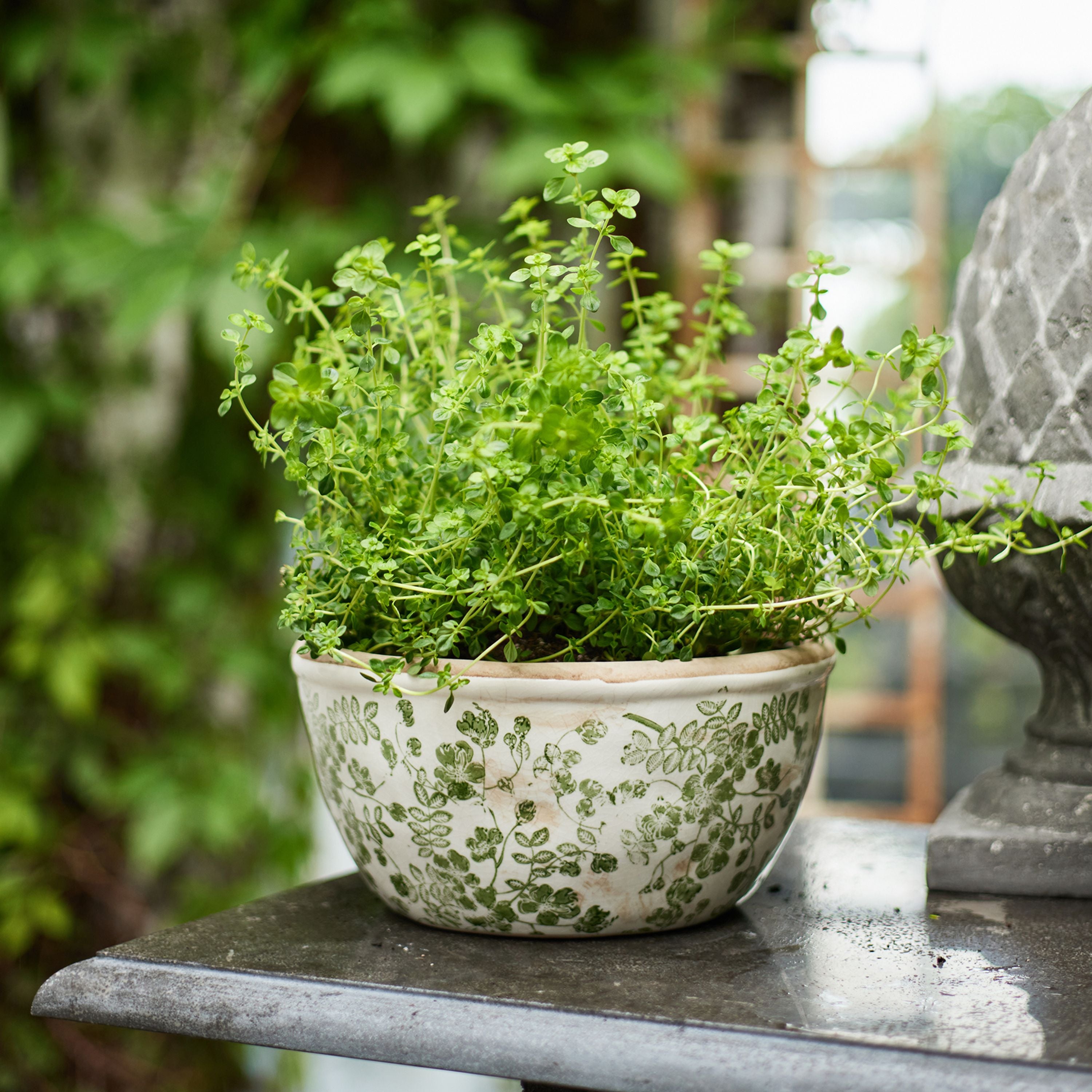 French Country Botanical Pot Large