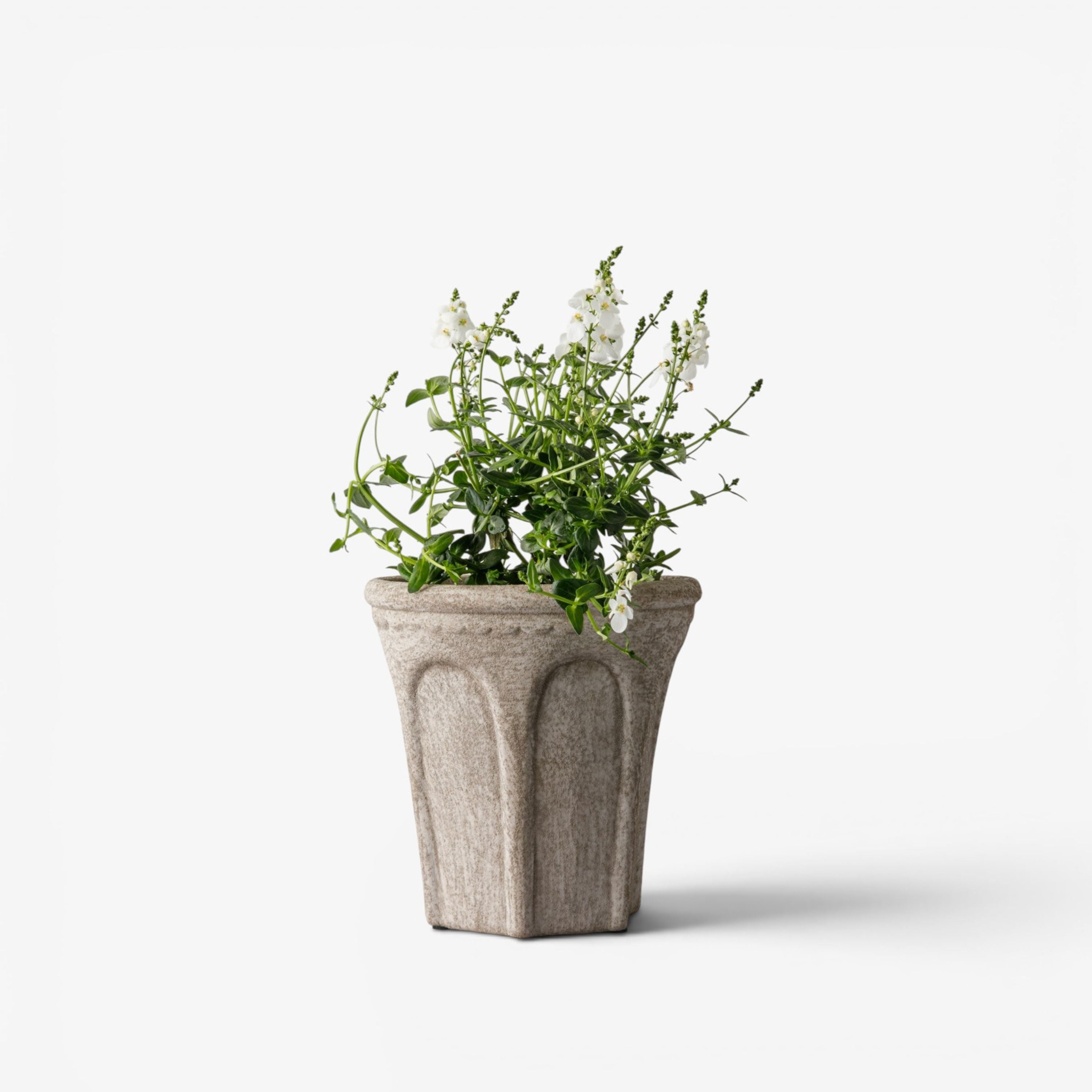 French Country Terra Arc Planter Small