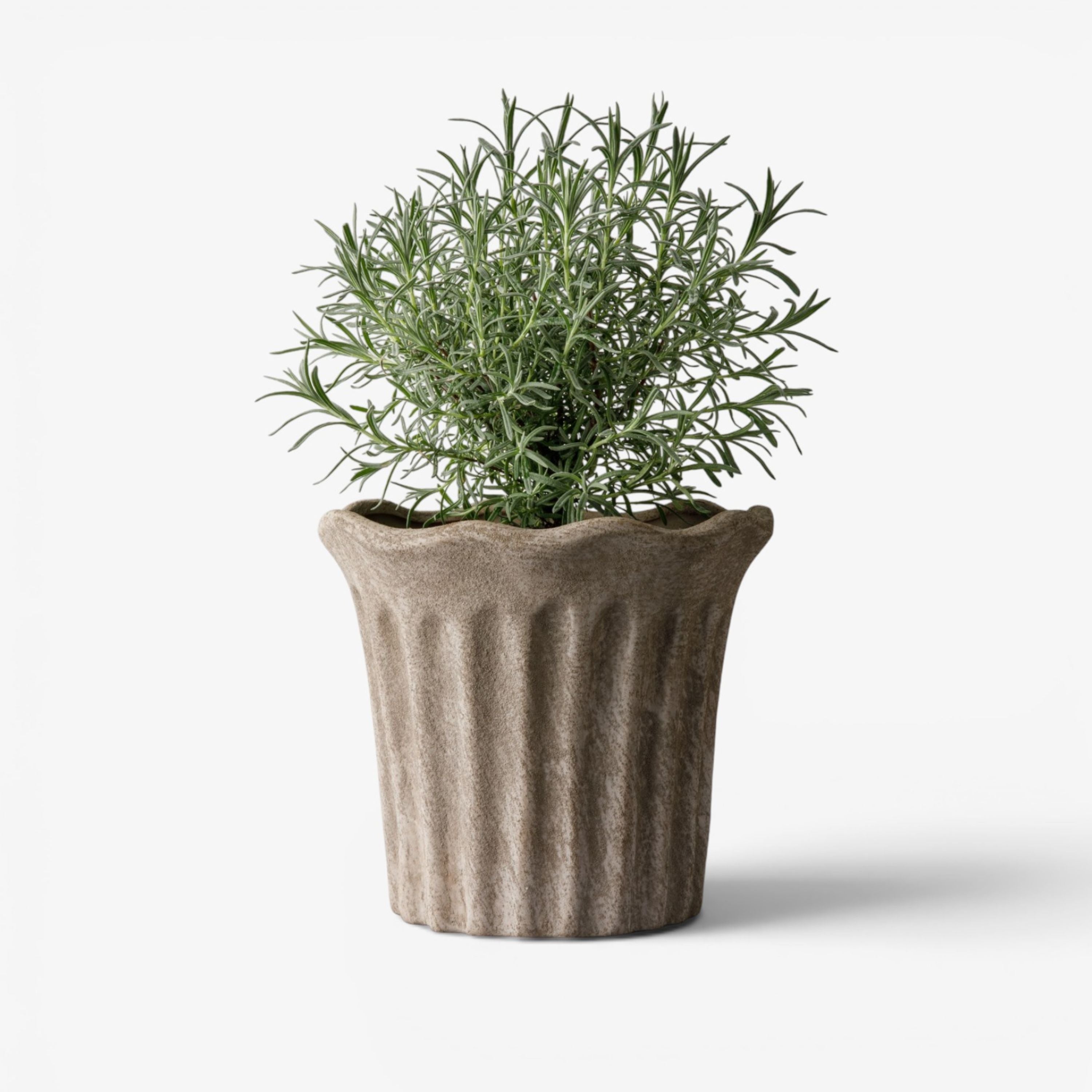 French Country Terra Fluted Planter Medium