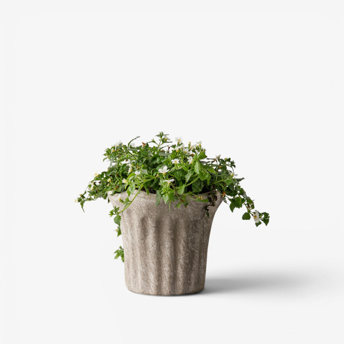 French Country Terra Fluted Planter Small