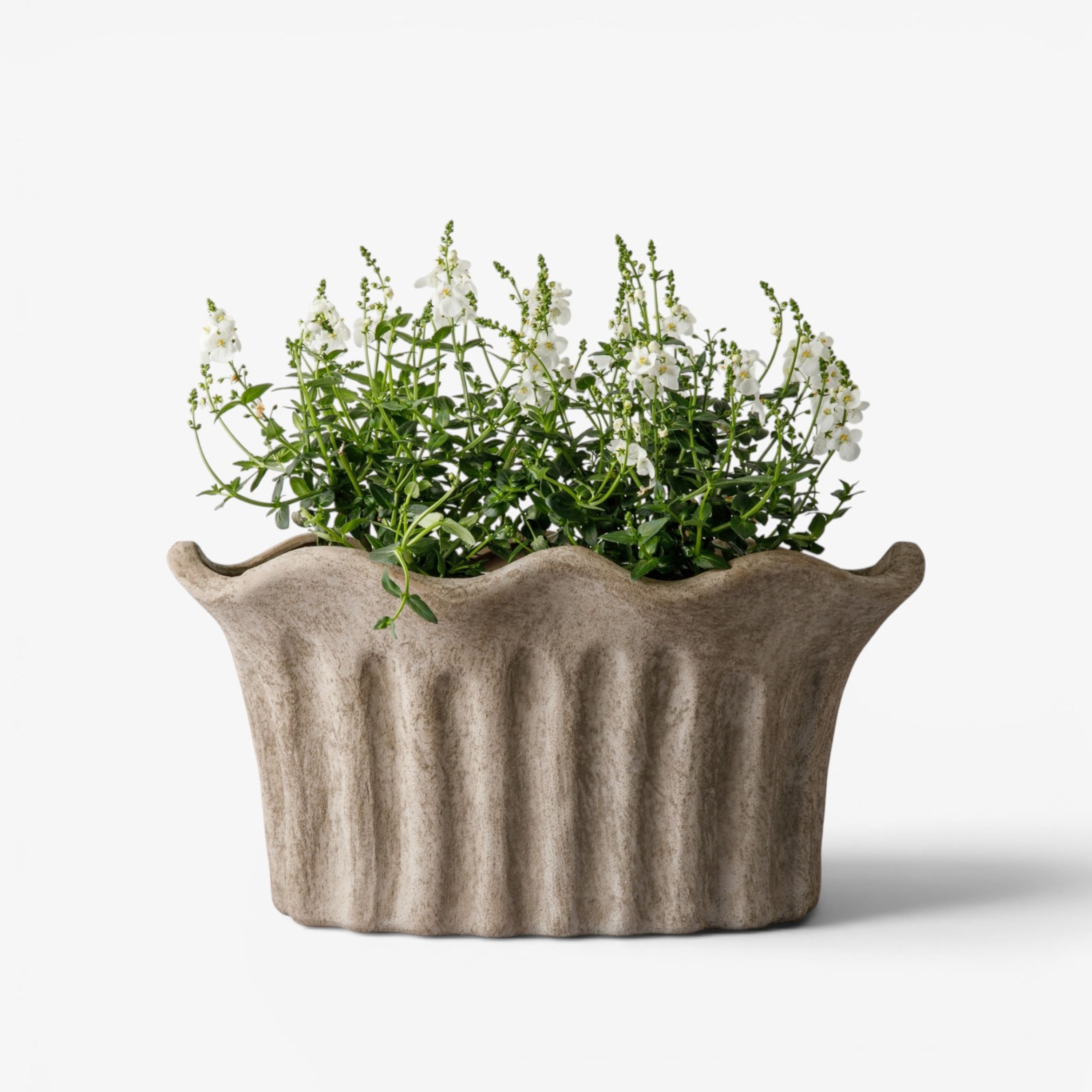 French Country Terra Fluted Oval Planter Large