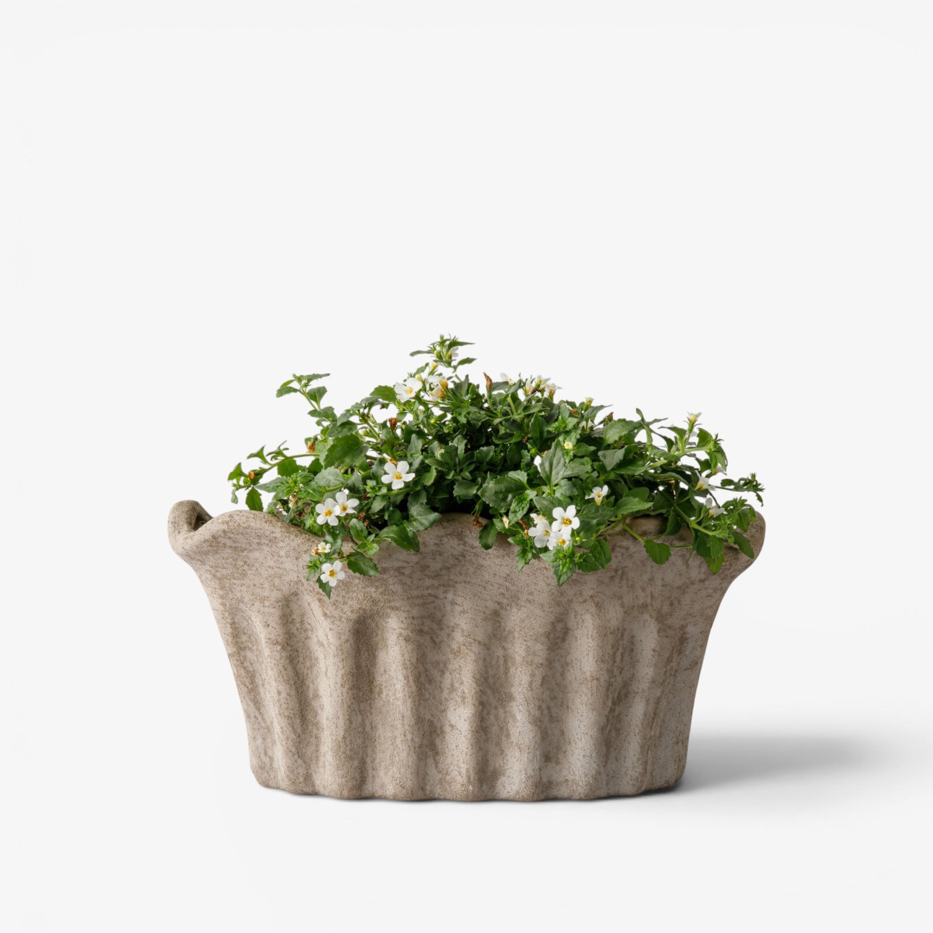 French Country Terra Fluted Oval Planter Small