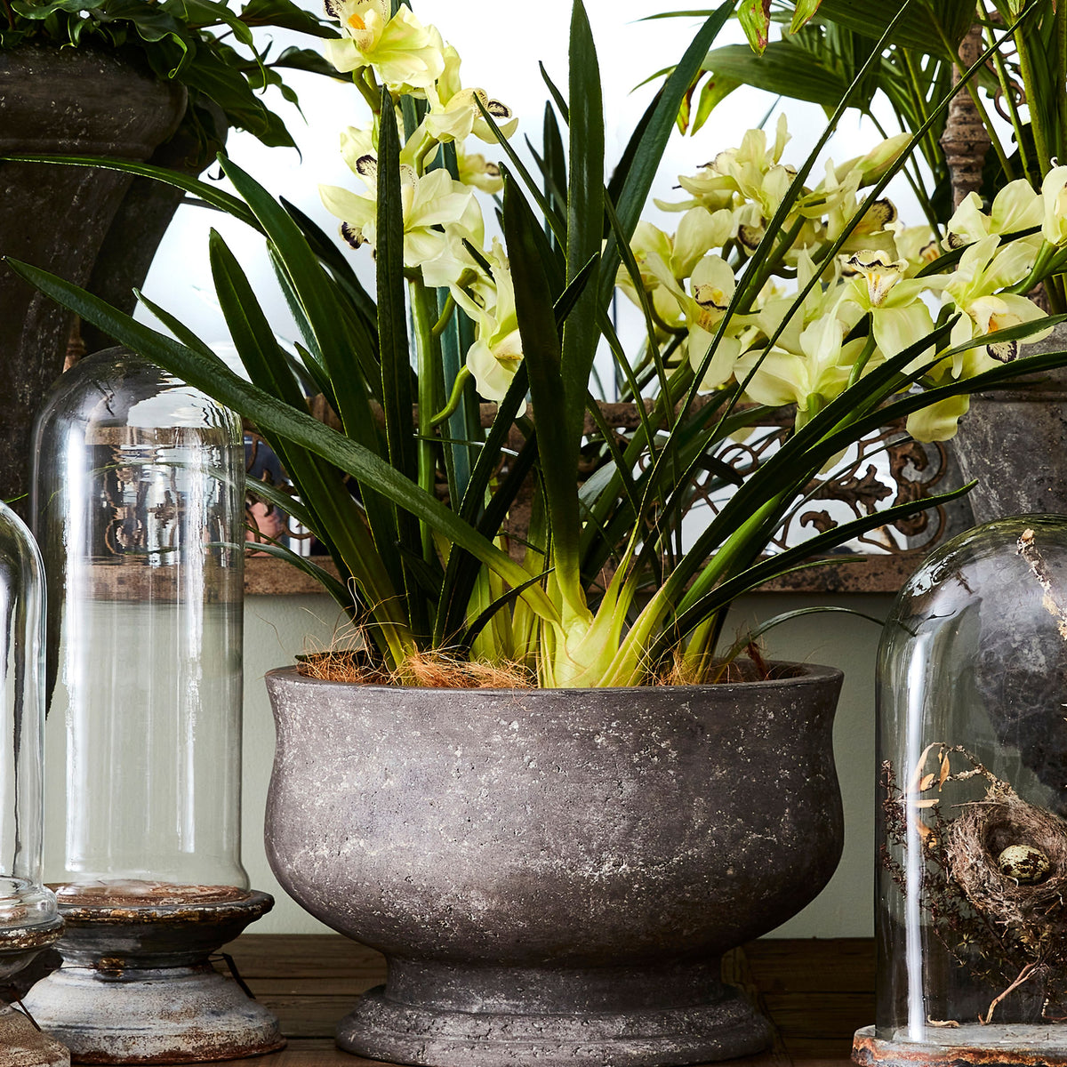 French Country Orchid Planter Large