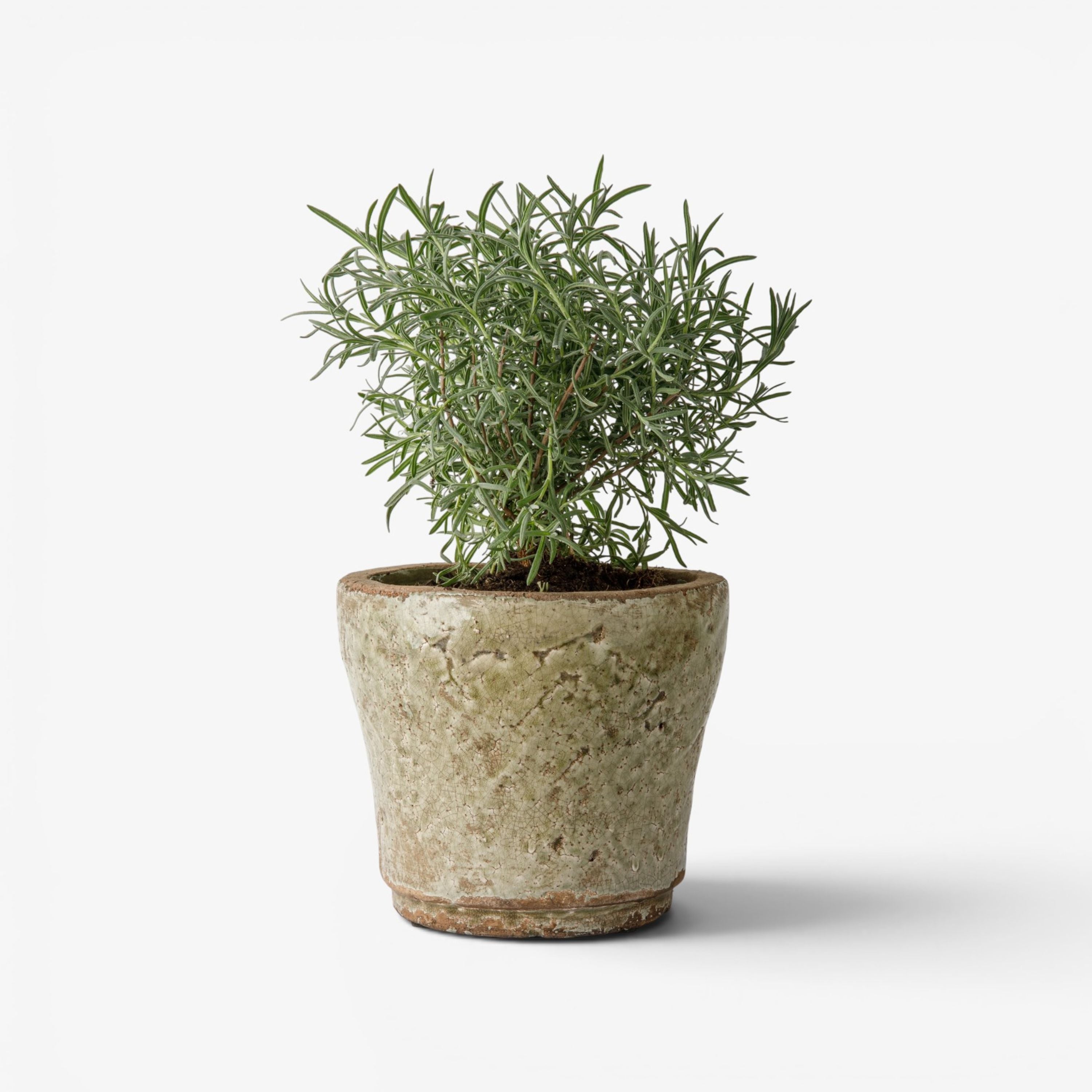 French Country Celadon Herb Planter