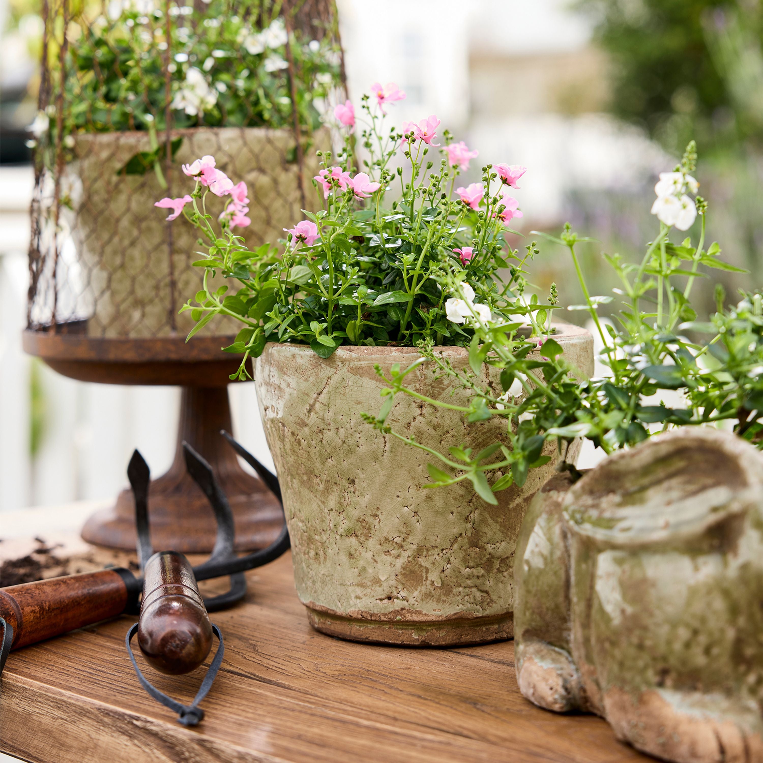 French Country Celadon Herb Planter