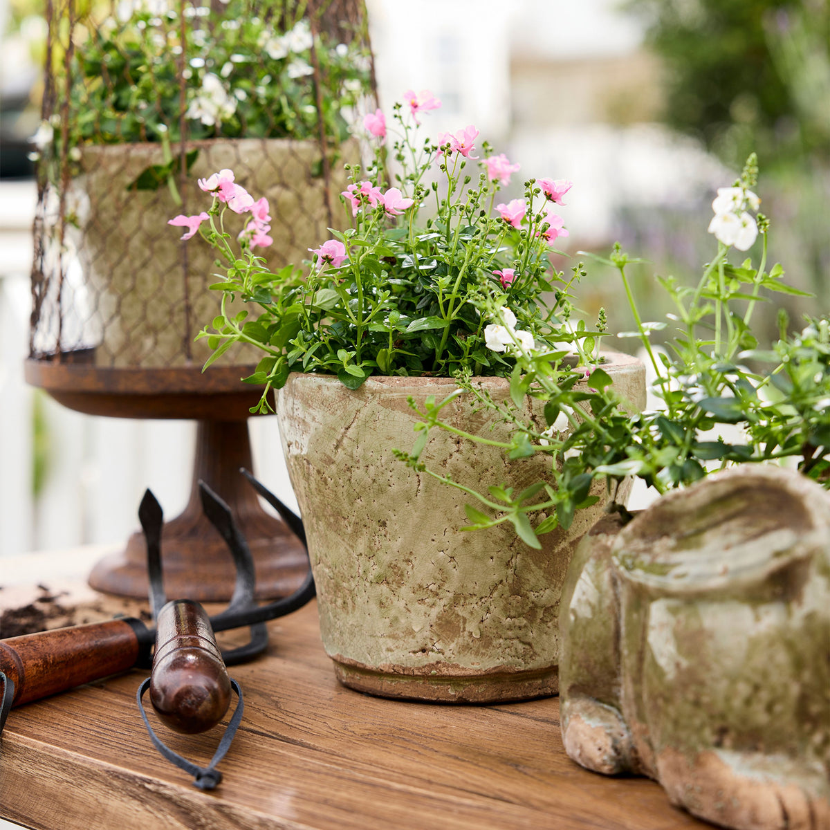 French Country Celadon Herb Planter