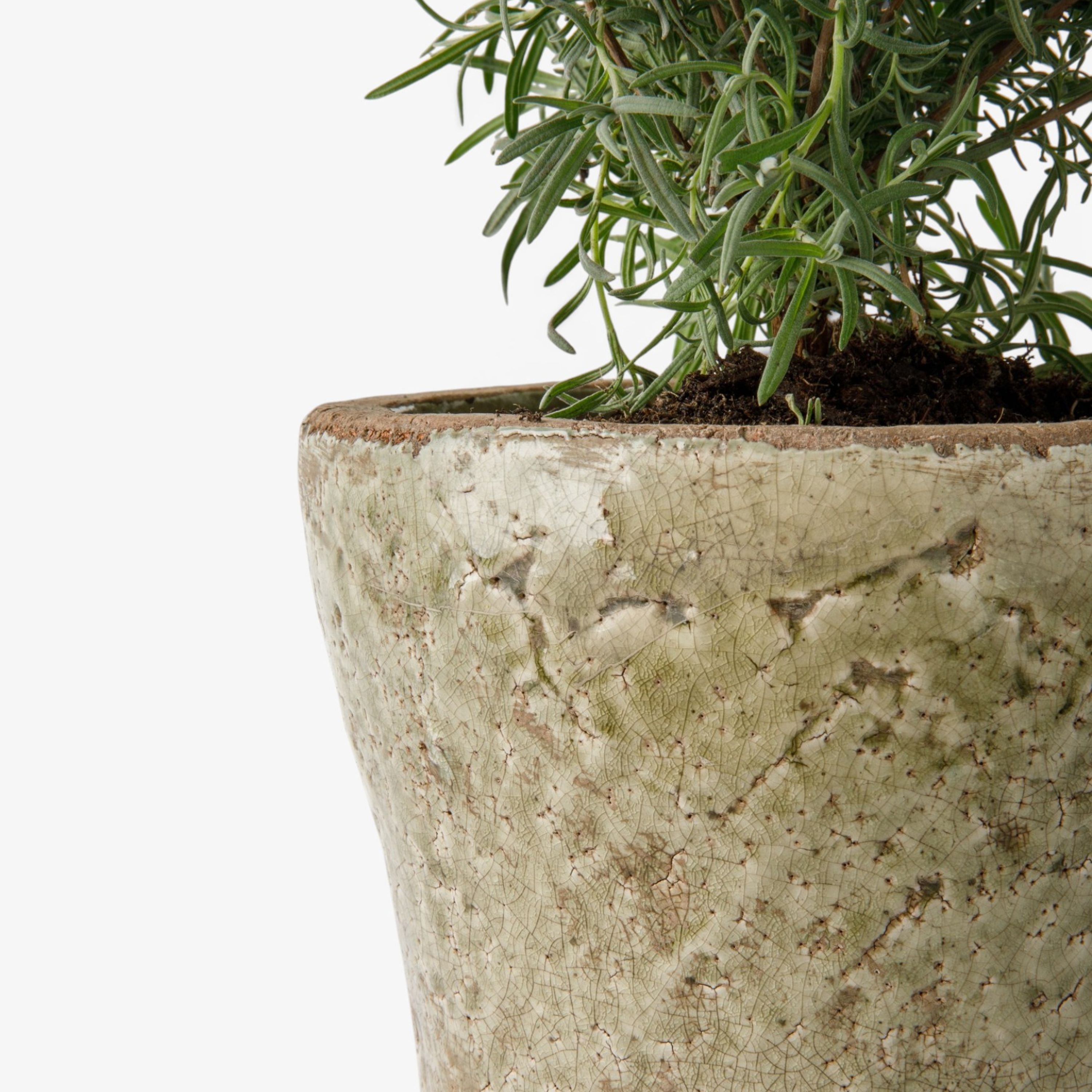 French Country Celadon Herb Planter