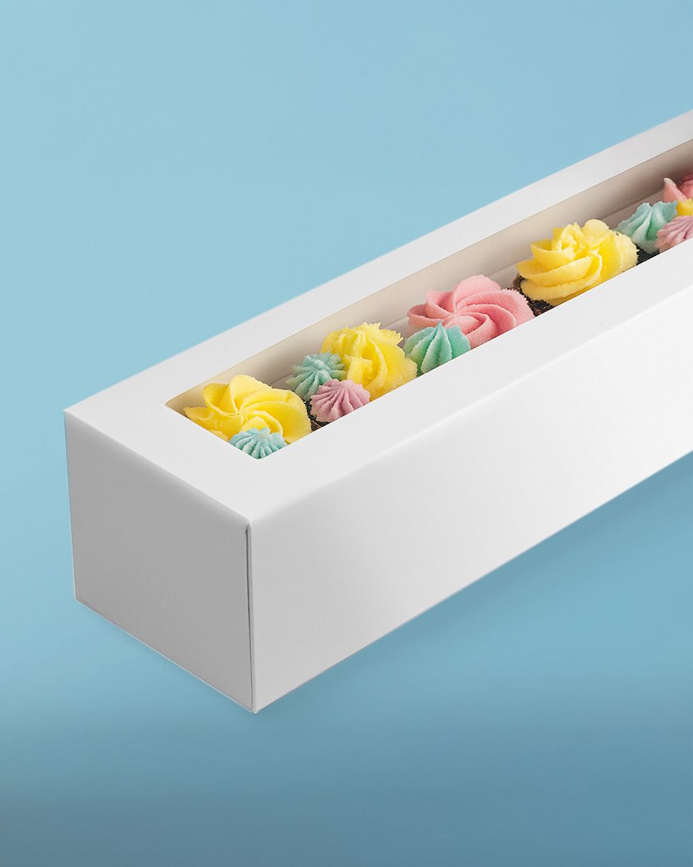 Mondo Cupcake Box- Long 12 Cup