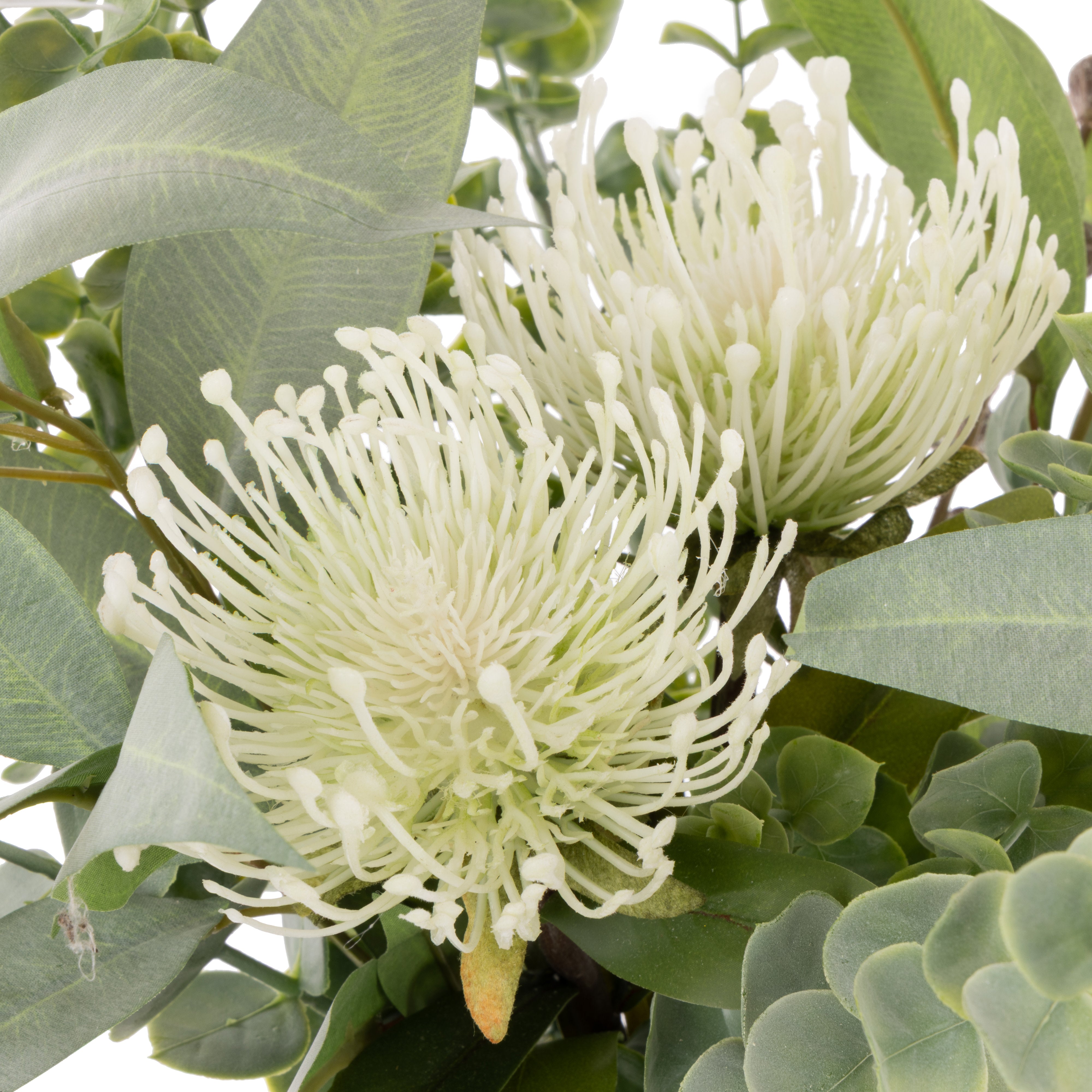 Rogue Pincushion Mix - Phoebe Vase