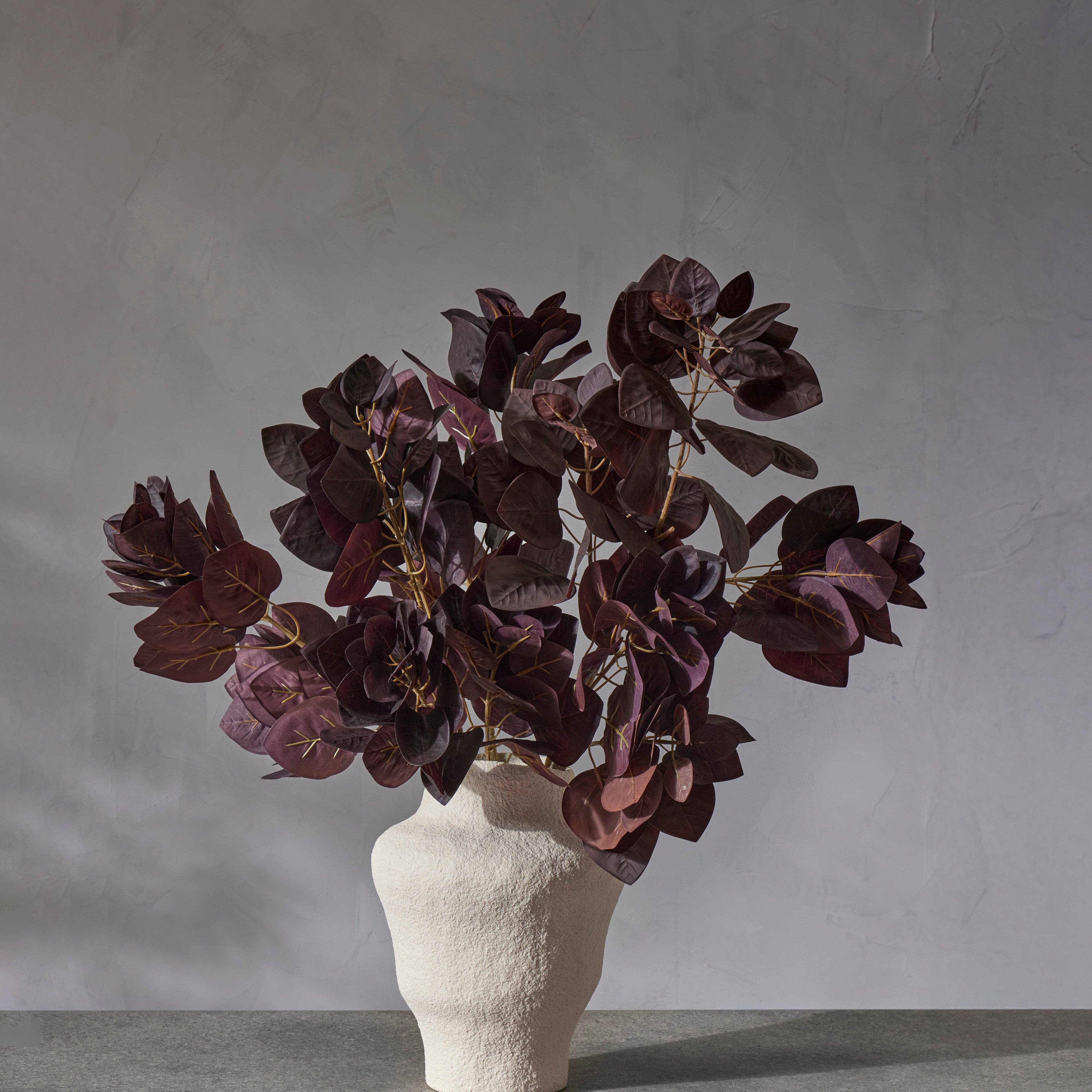 Rogue Smoke Bush Spray Burgundy
