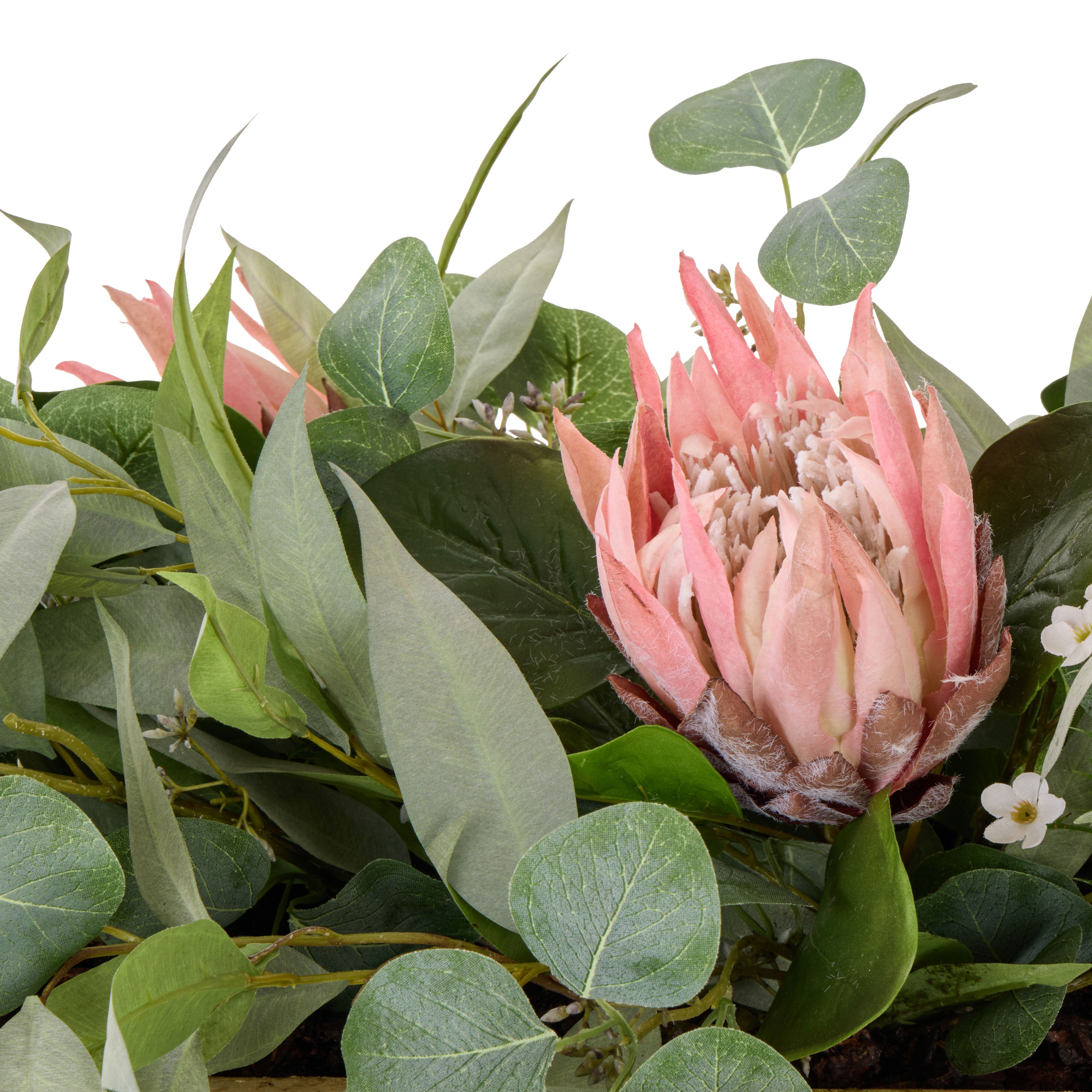 Rogue King Protea Native Mix - Dansk Pink