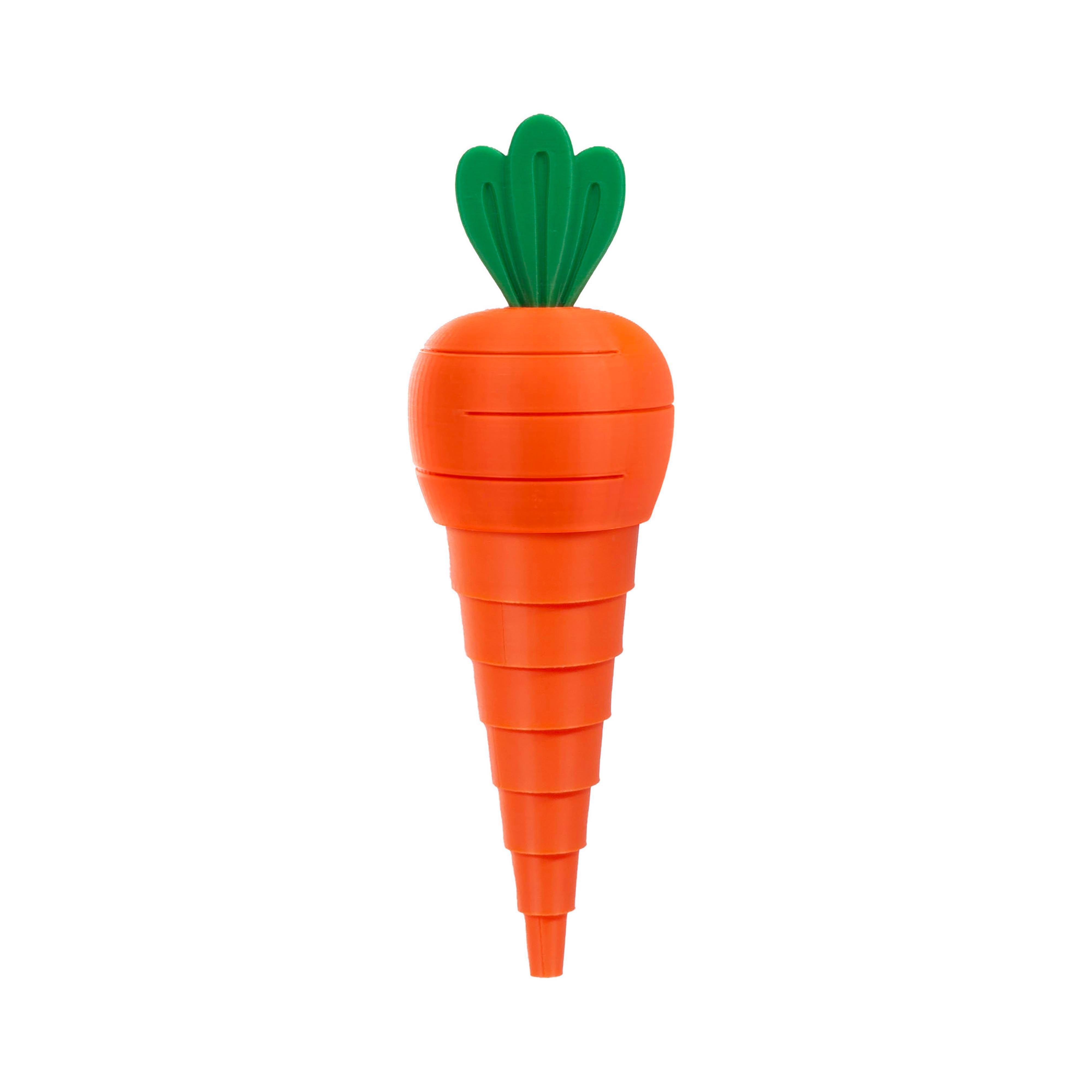 Discovery Zone 3D Sensory Carrot