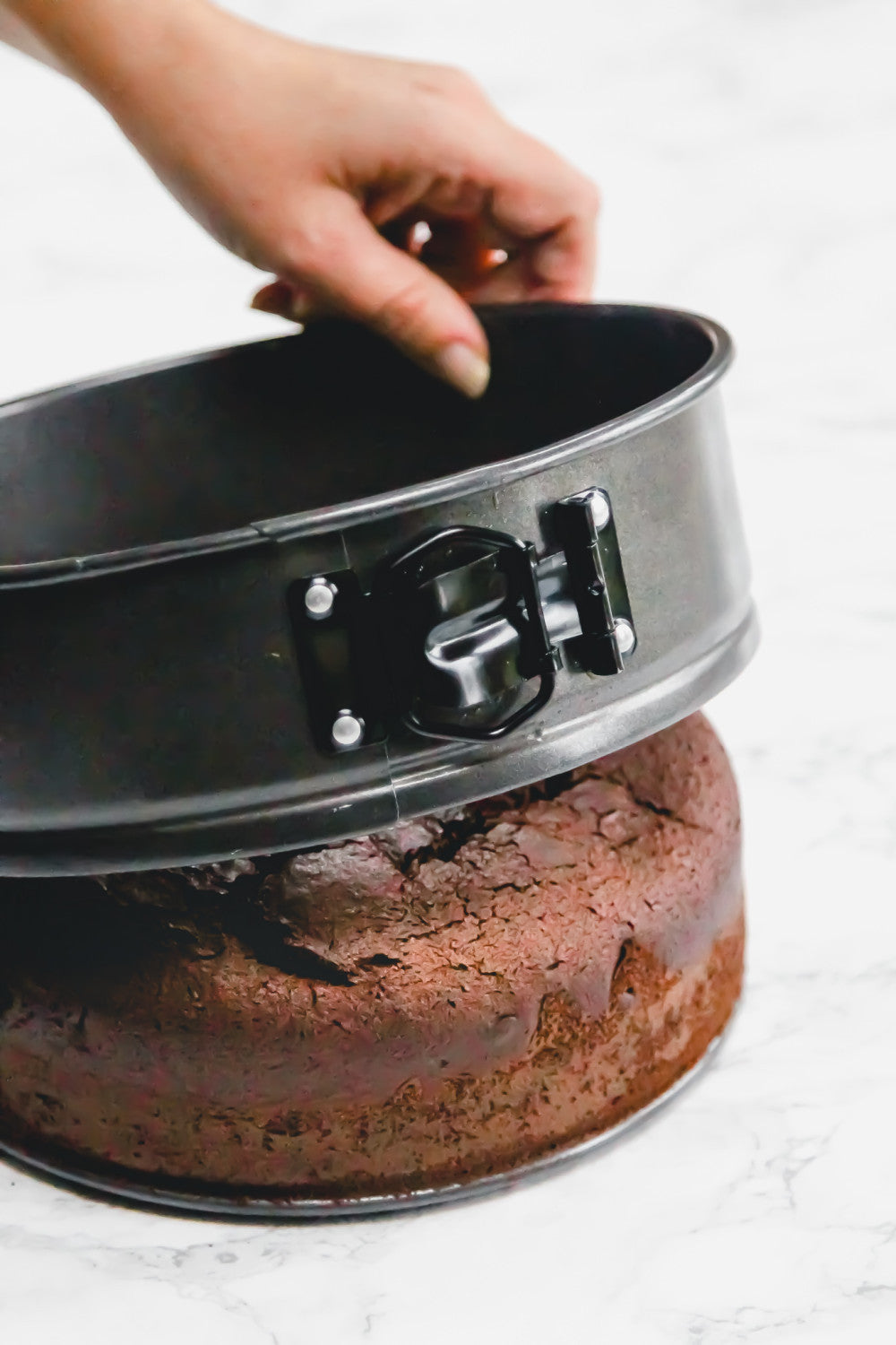 MasterCraft Non Stick Springform Loose Base Round Cake Pan 20cm