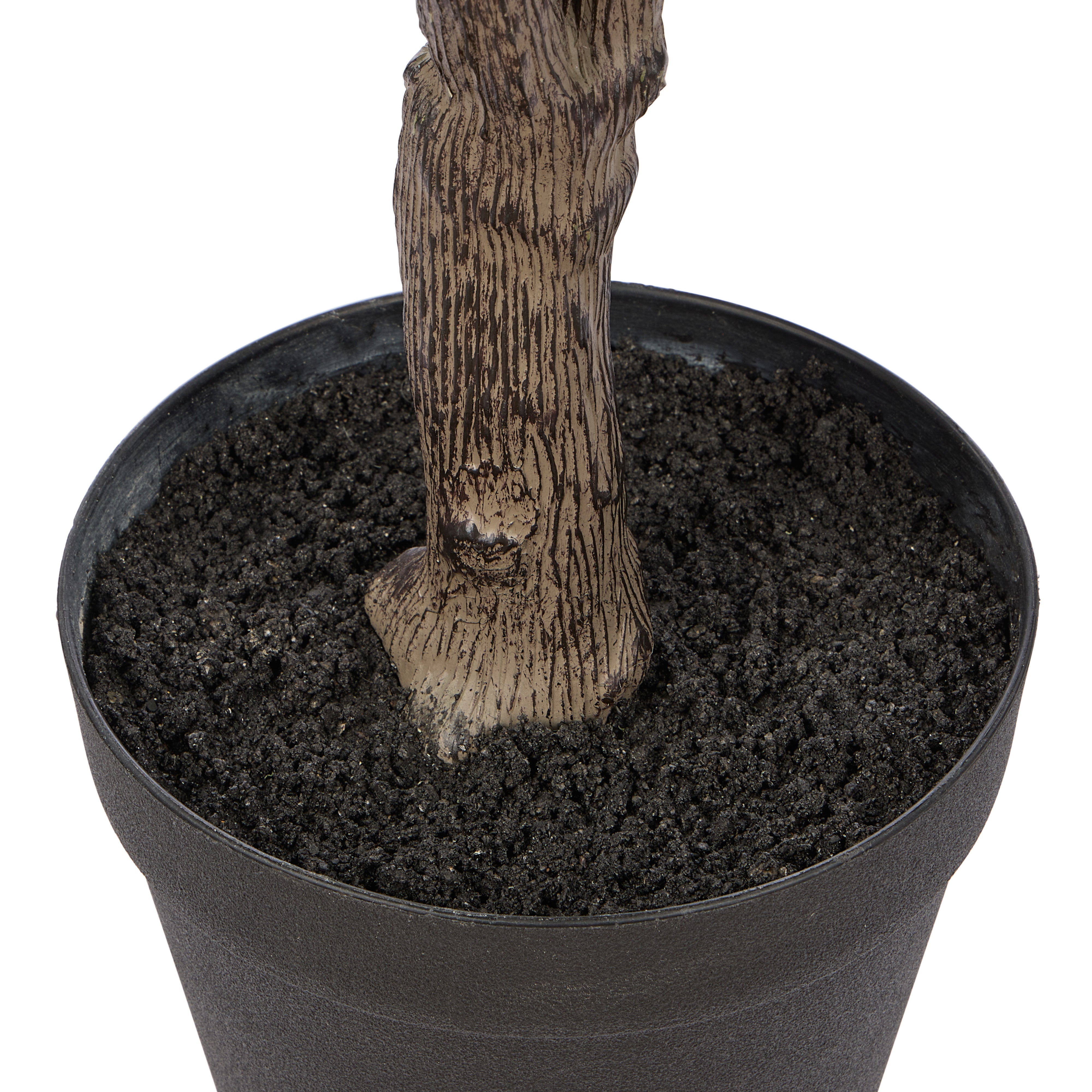 Rogue Ginkgo Tree 117cm