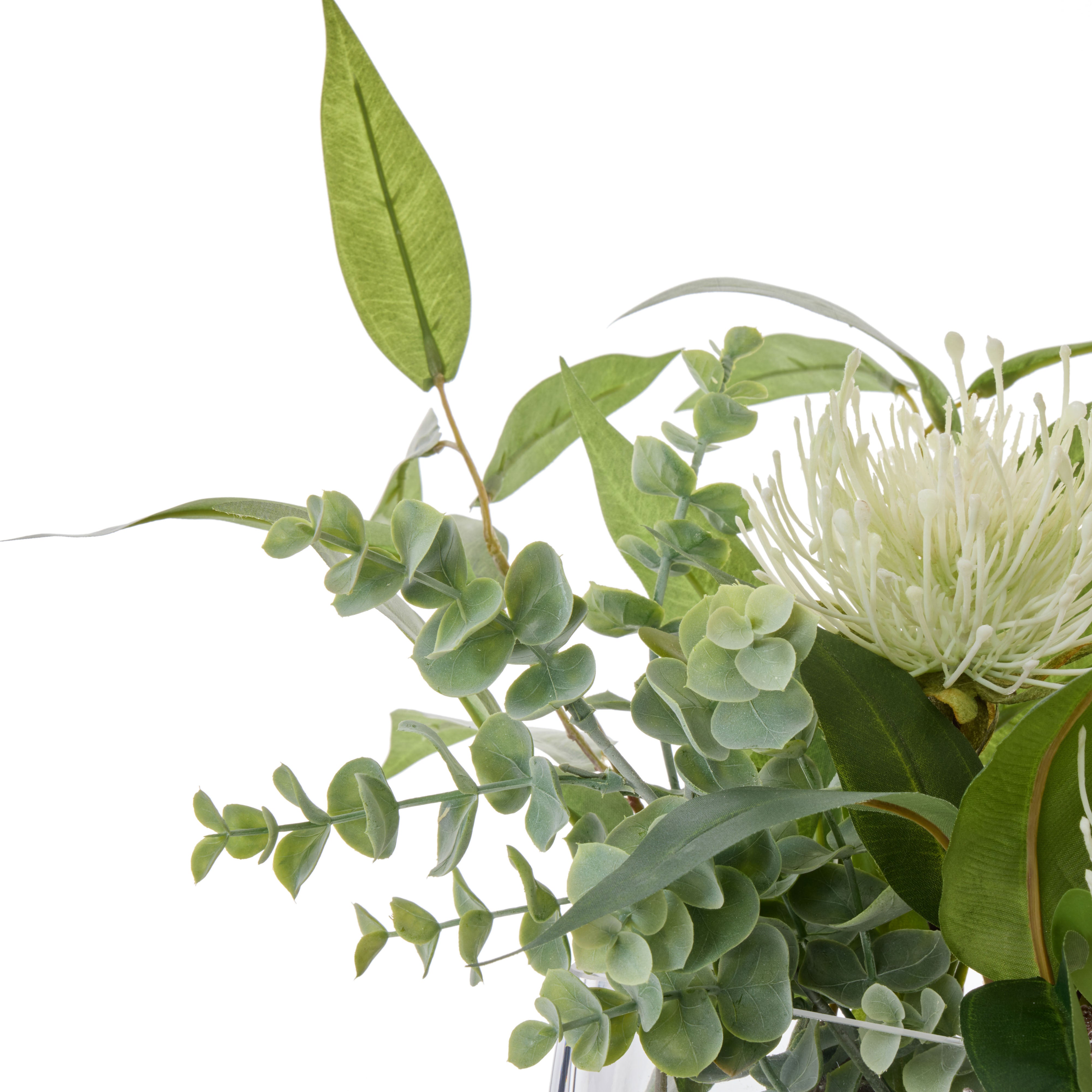 Rogue Pincushion Eucalyptus - Esme White & Green